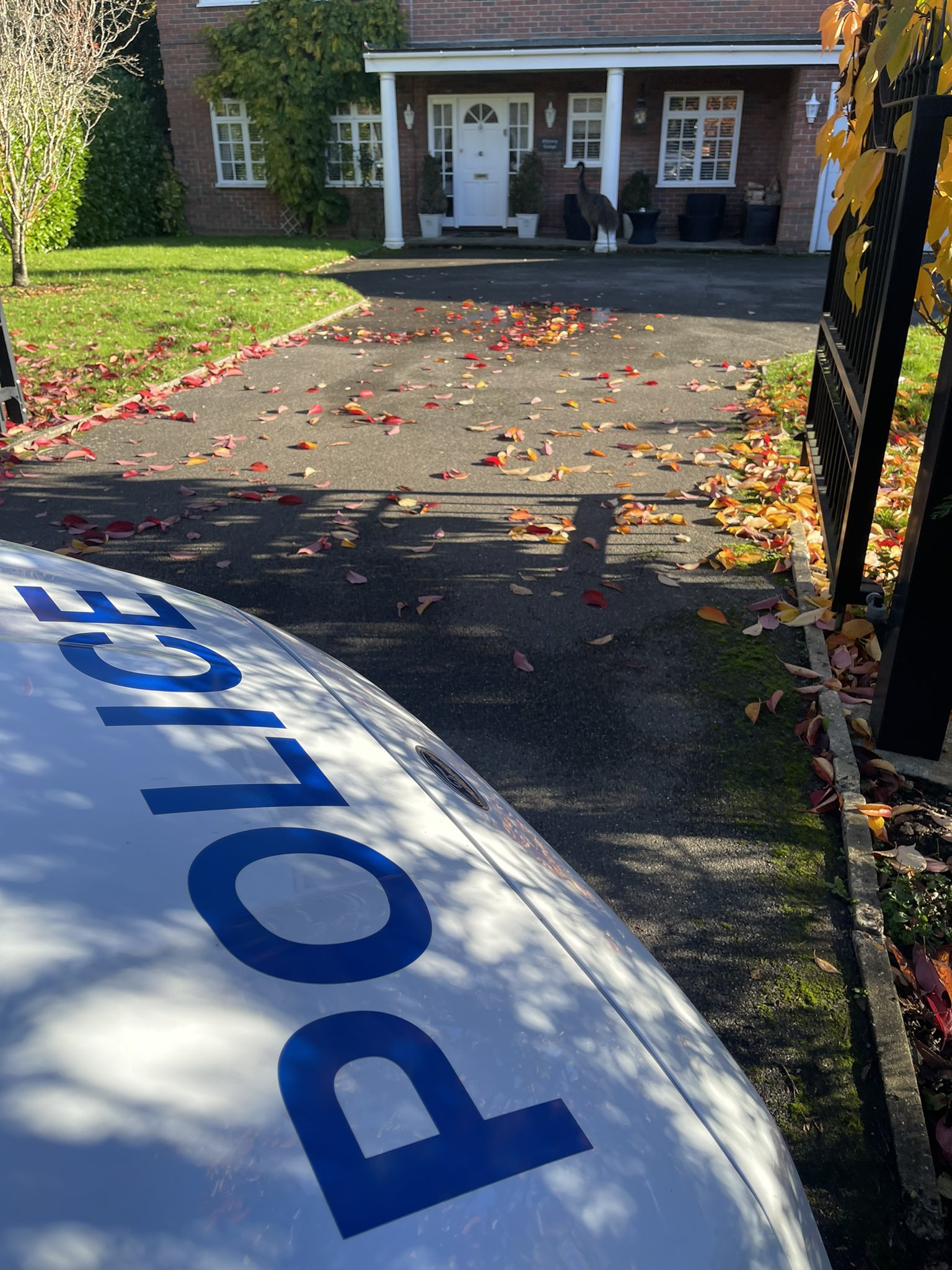 An emu standing by the doorway of a property in Maidstone after it escaped from its residential home 