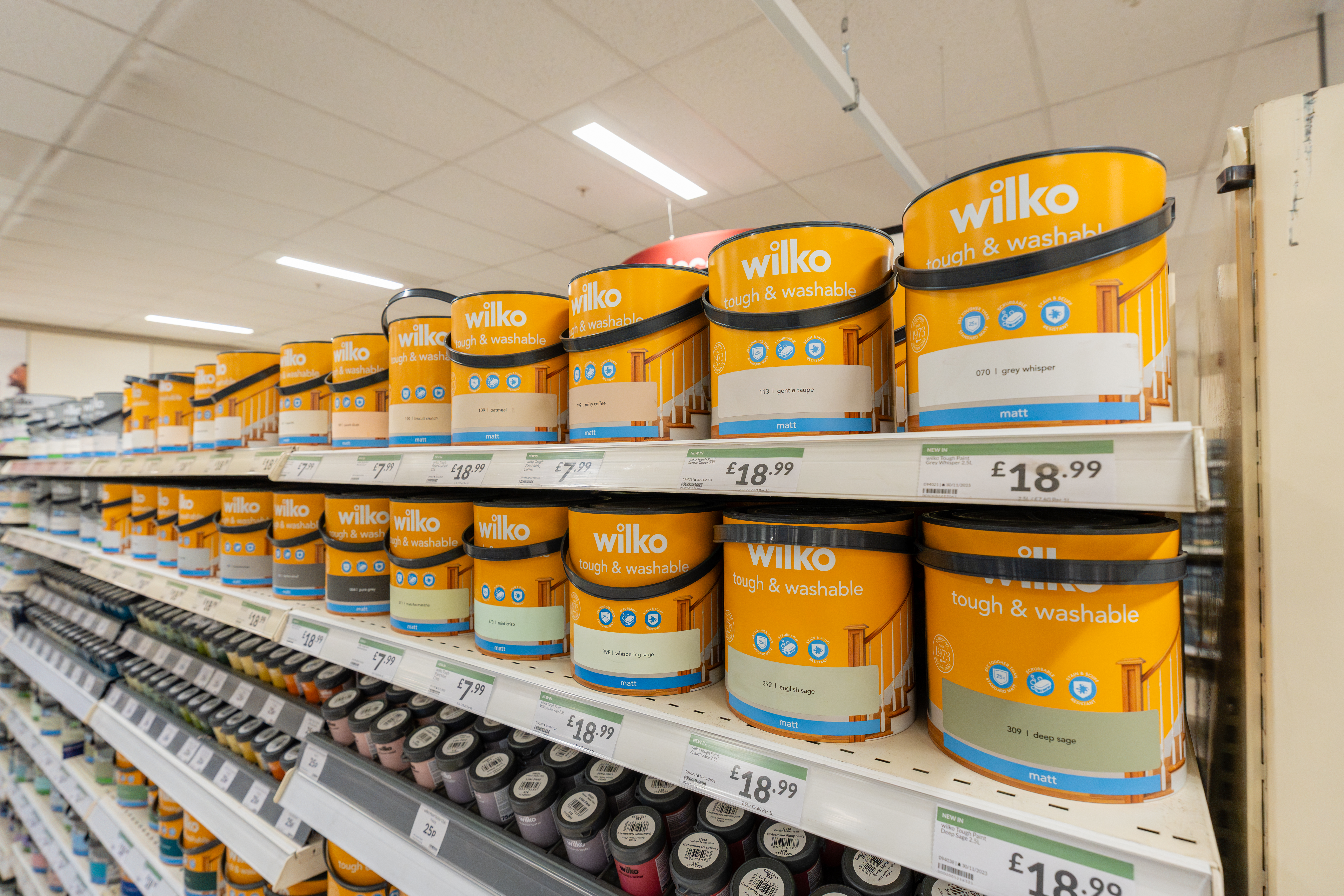 Paint in Wilko Plymouth