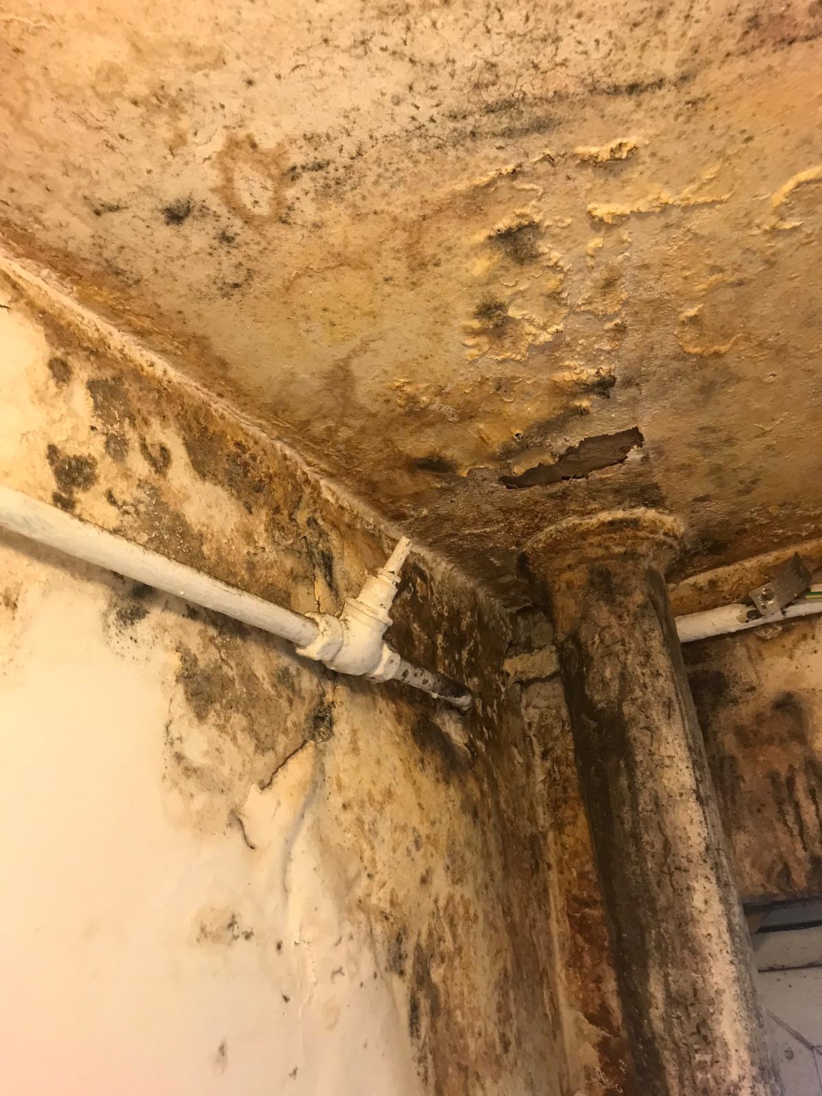 Mould in the flat