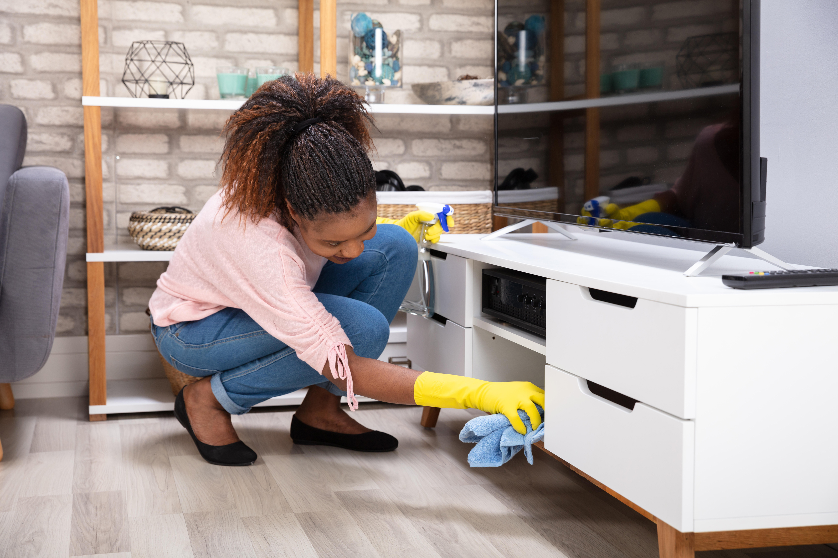 Woman giving home a thorough clean