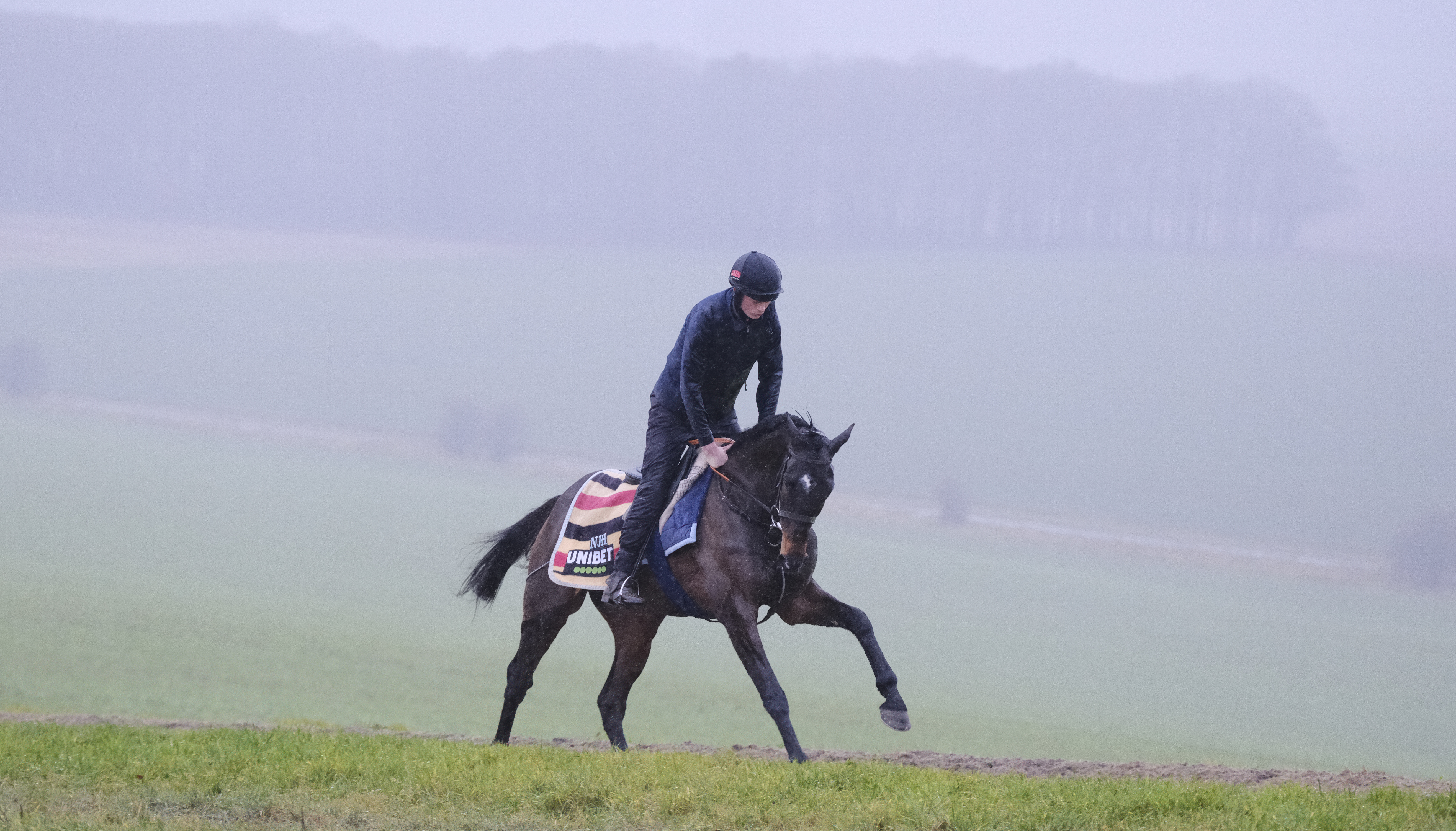 Shishkin strides out on Tuesday morning