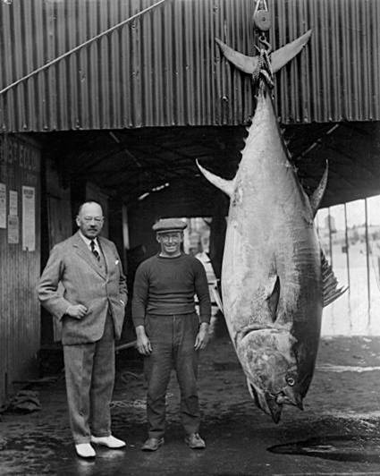Tunny fishermen Scarborough 1933