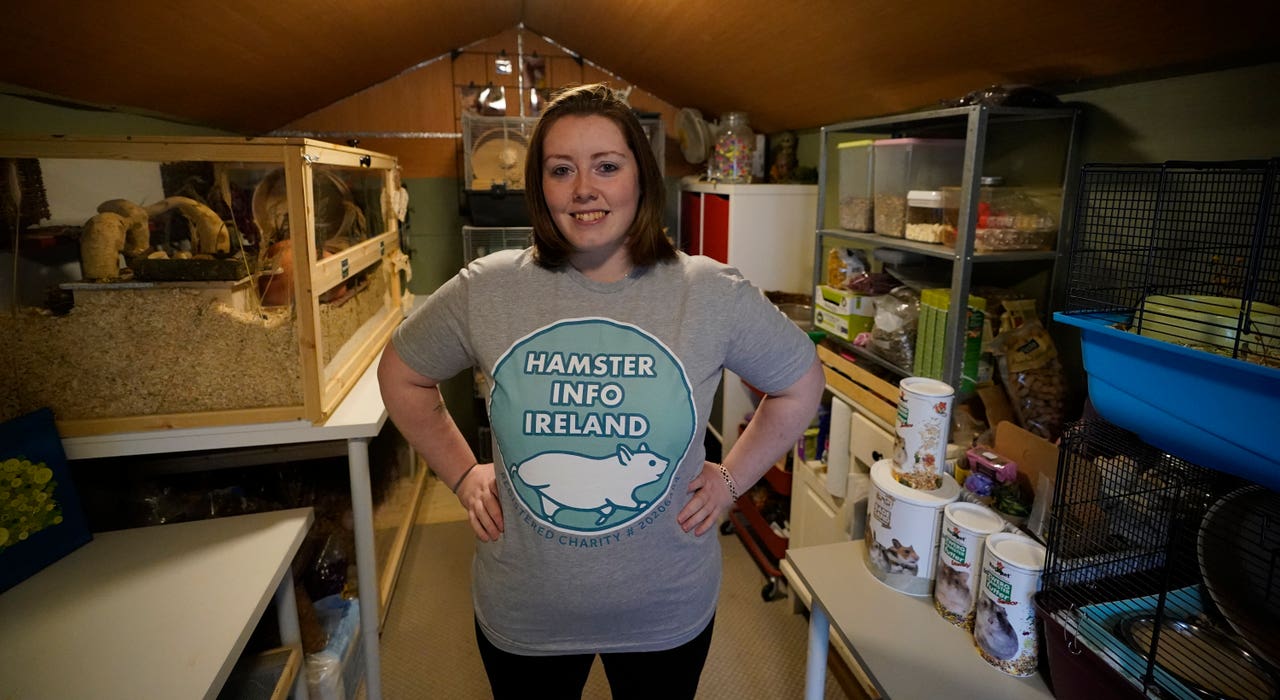 Thumbnail for Hamster Owners Online