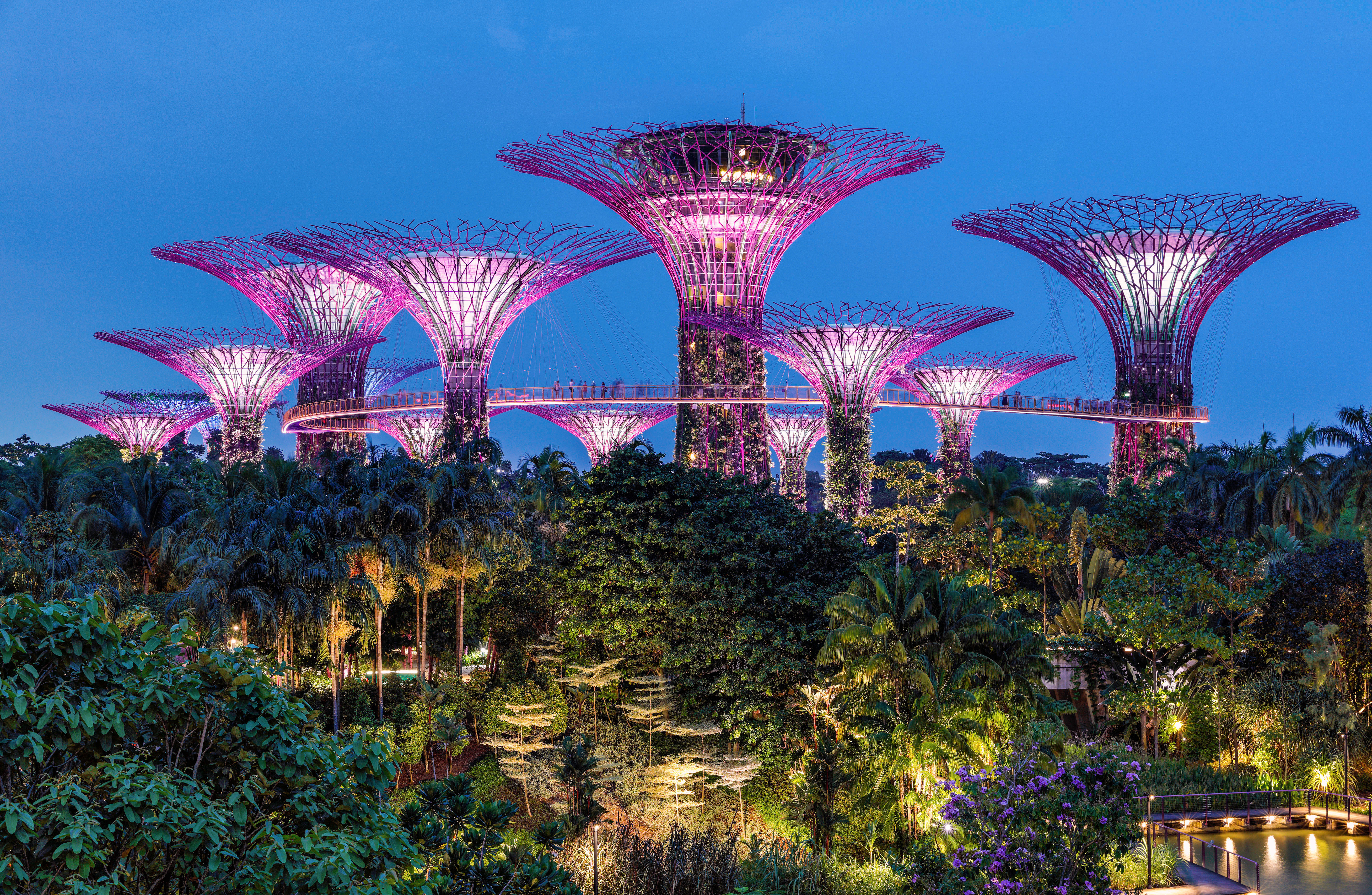 Supertrees at Gardens By The Bay, Singapore (Alamy/PA)