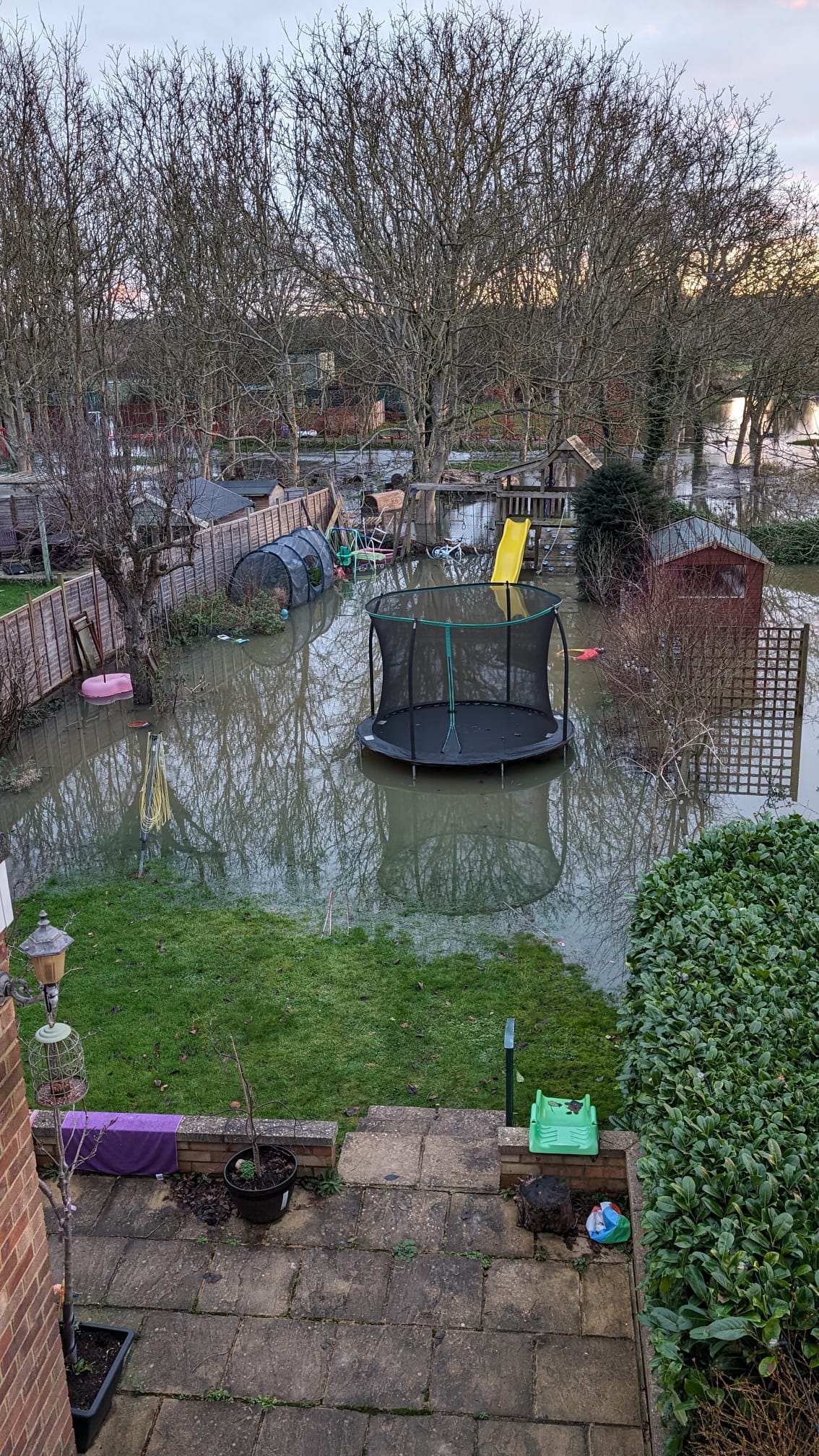 Flooded garden