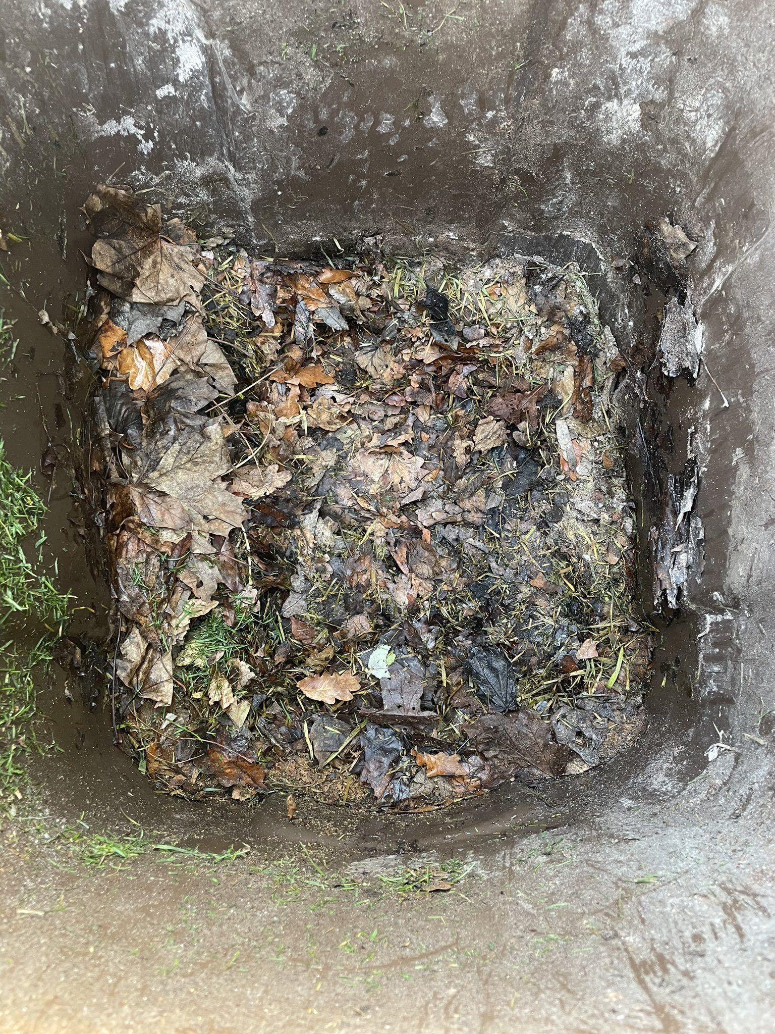 The inside of a garden waste bin with old leaves and grass