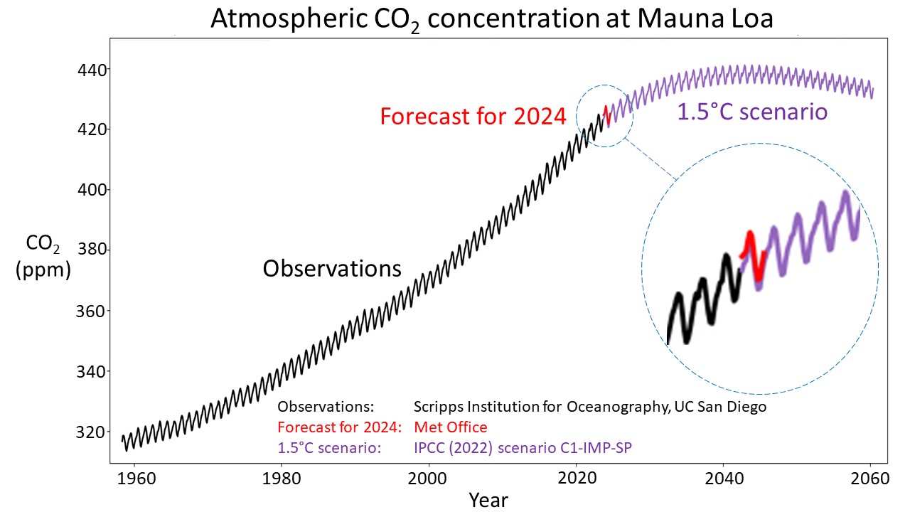 CO2 forecast