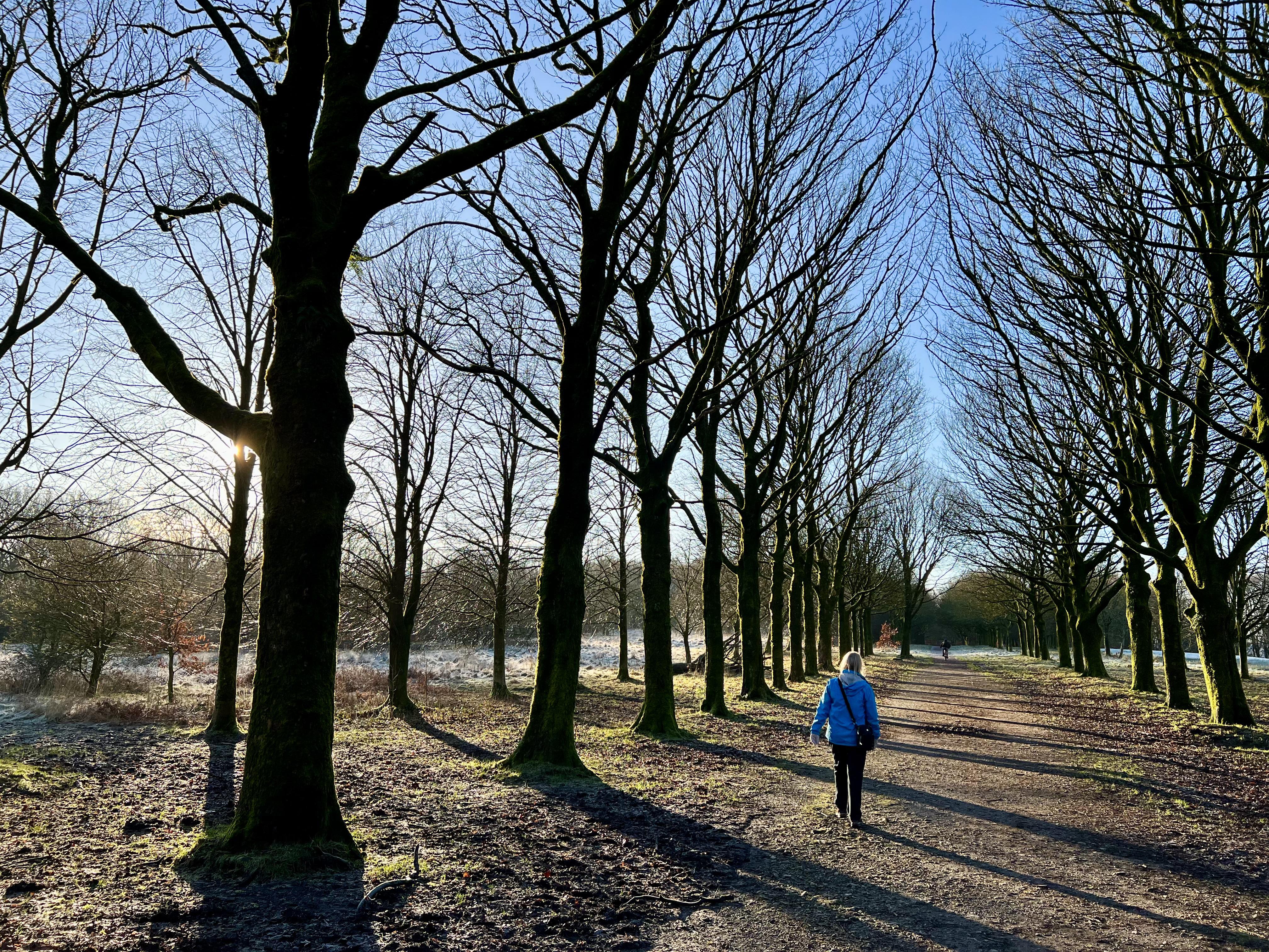 UK Weather: Sunny and frost at Rivington. Women walking down tree lined avenue at Rivington near Chorley in Lancashire (Alamy/PA)