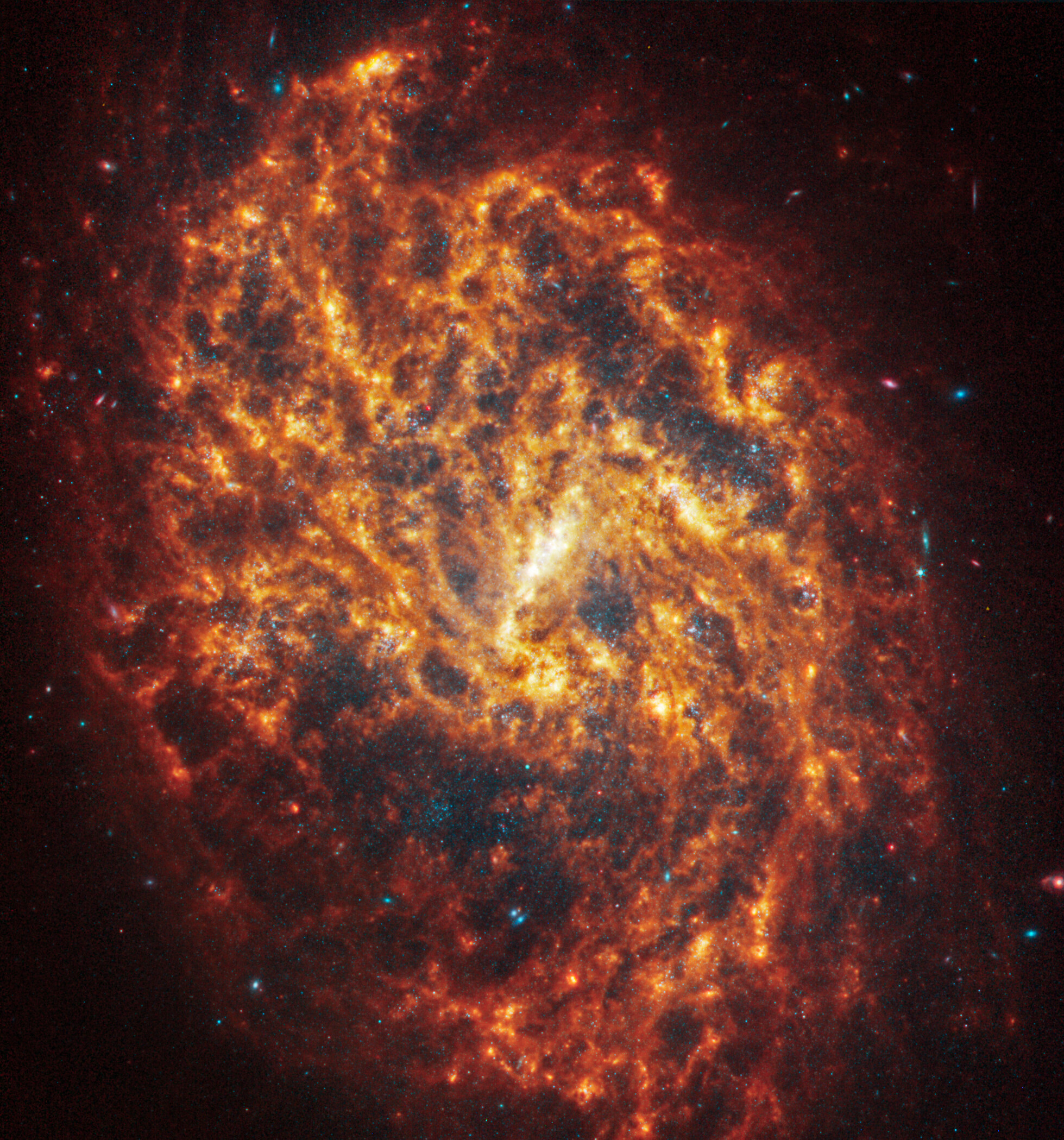 Webb’s image of NGC 1087 