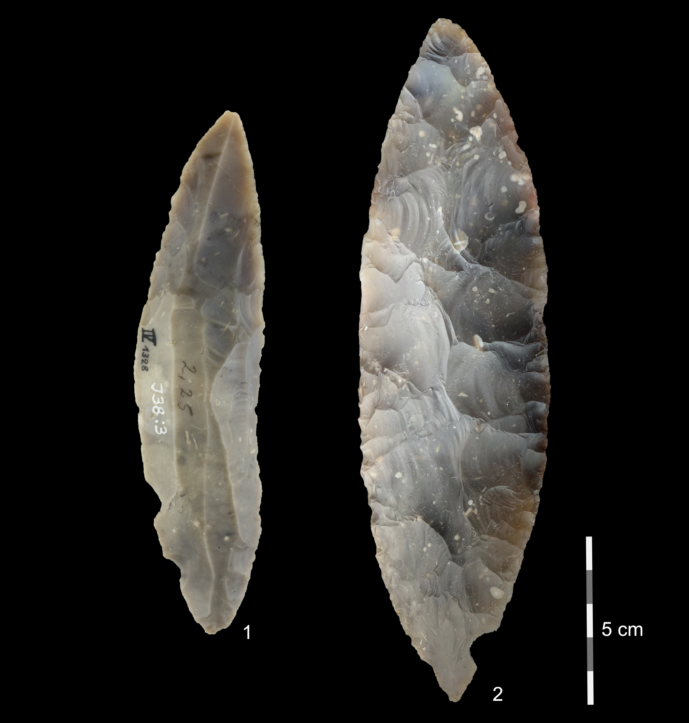 Leaf-shaped stone blades uncovered at the Ranis cave site