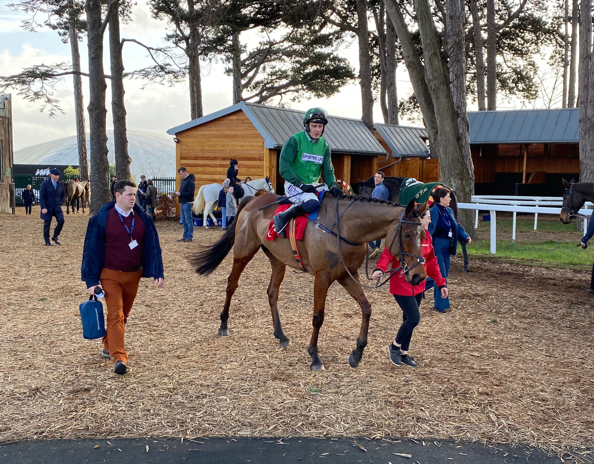 El Fabiolo and Paul Townend after winning at Leopardstown