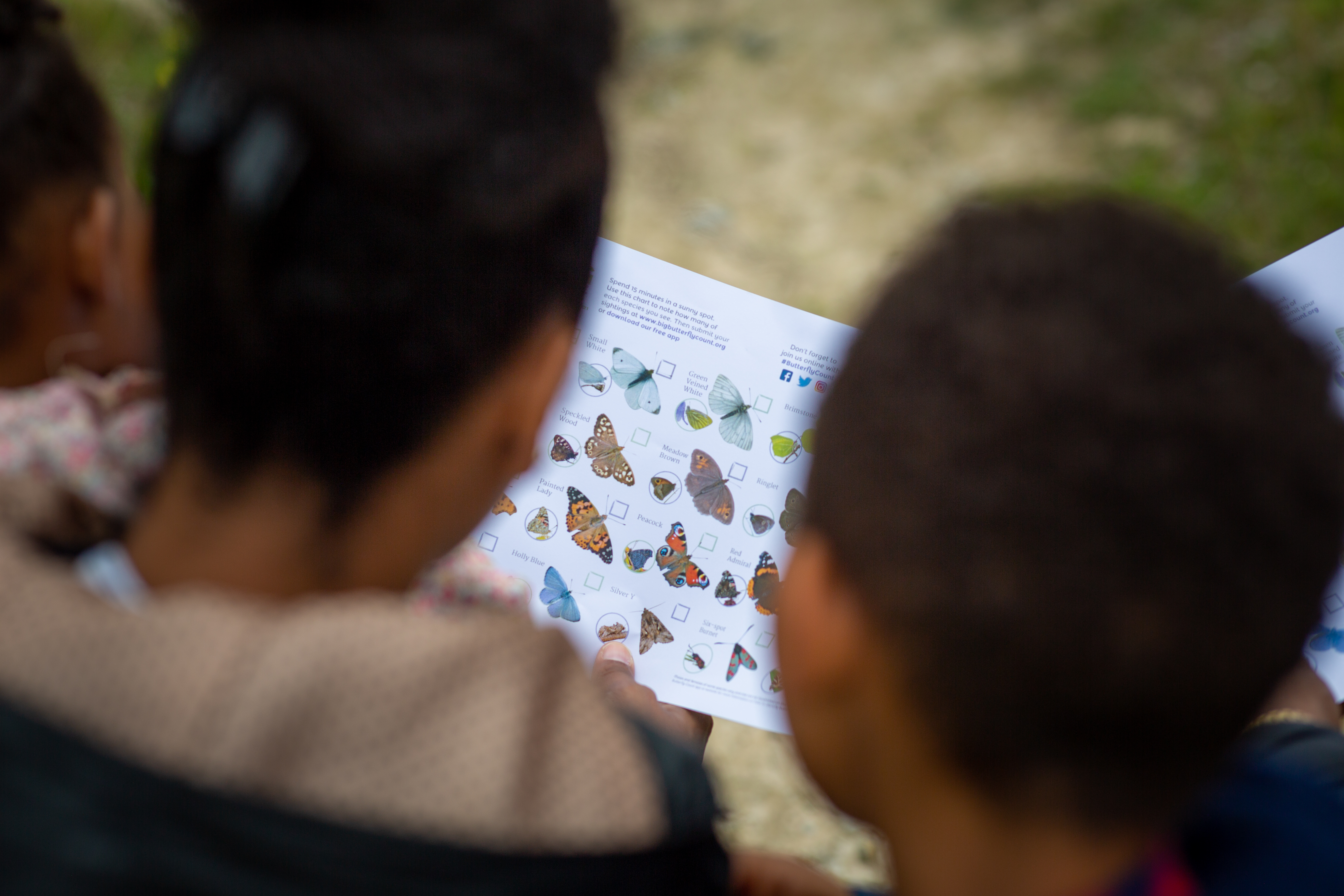 Two people looking at a butterfly identification sheet