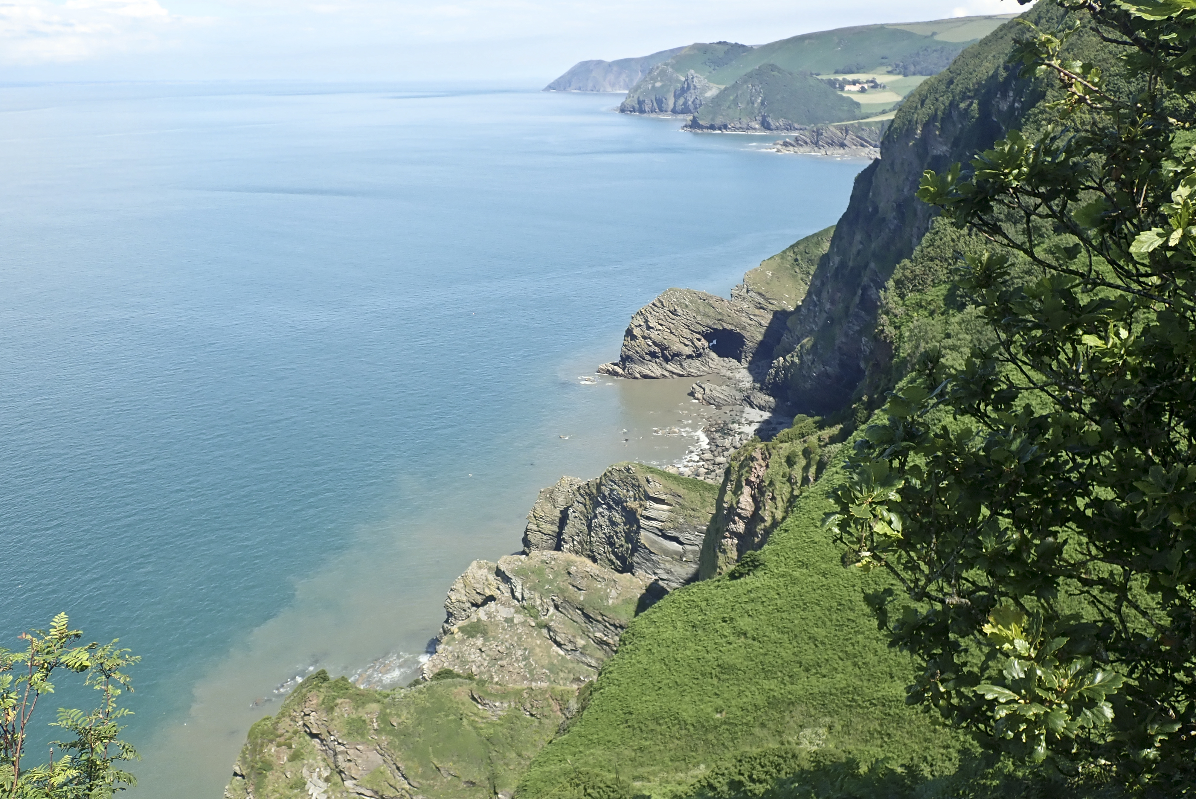 The sandstone cliffs in southwest England where scientists discovered the world's oldest fossil forest