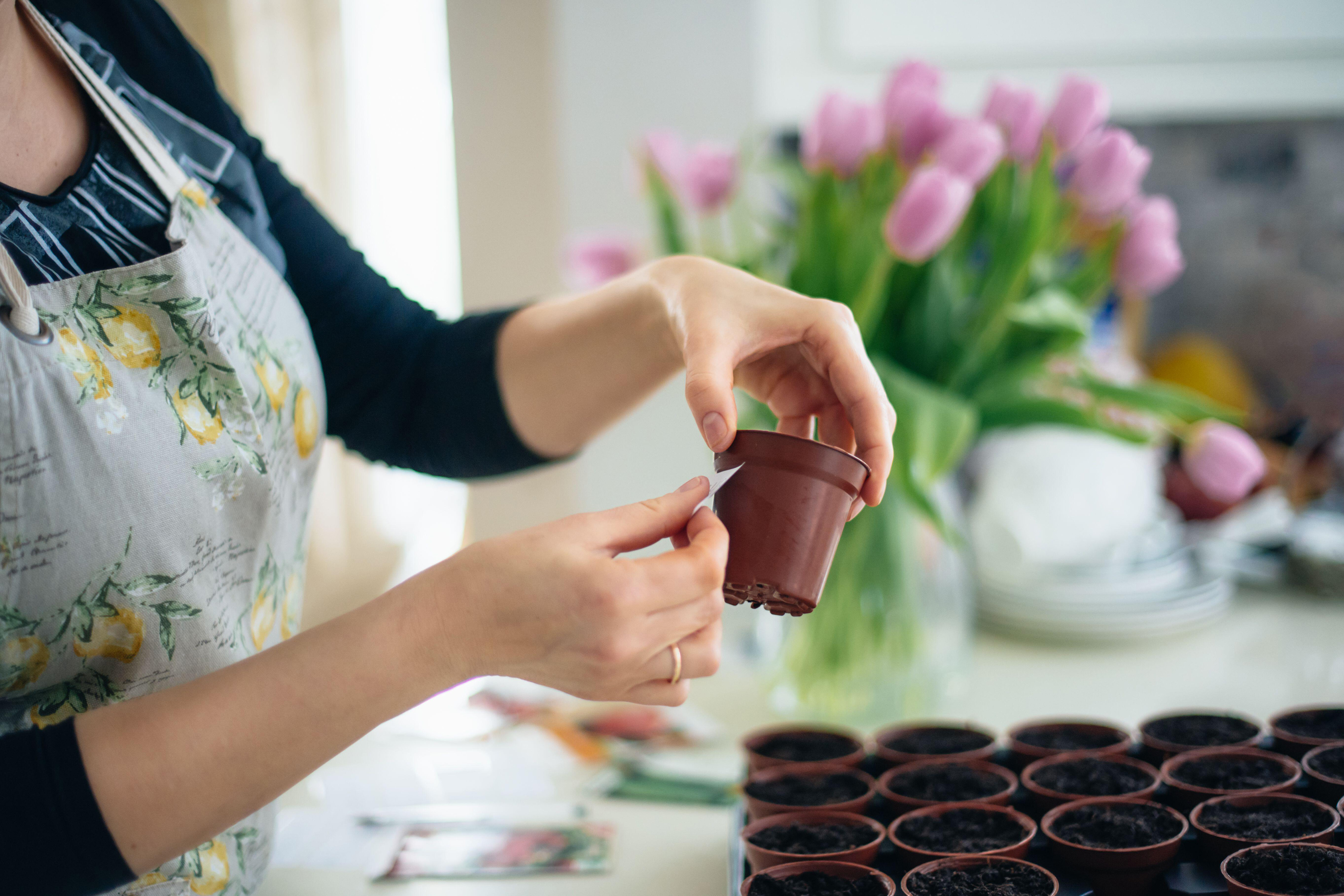 Woman putting stickers on small pots with seeds