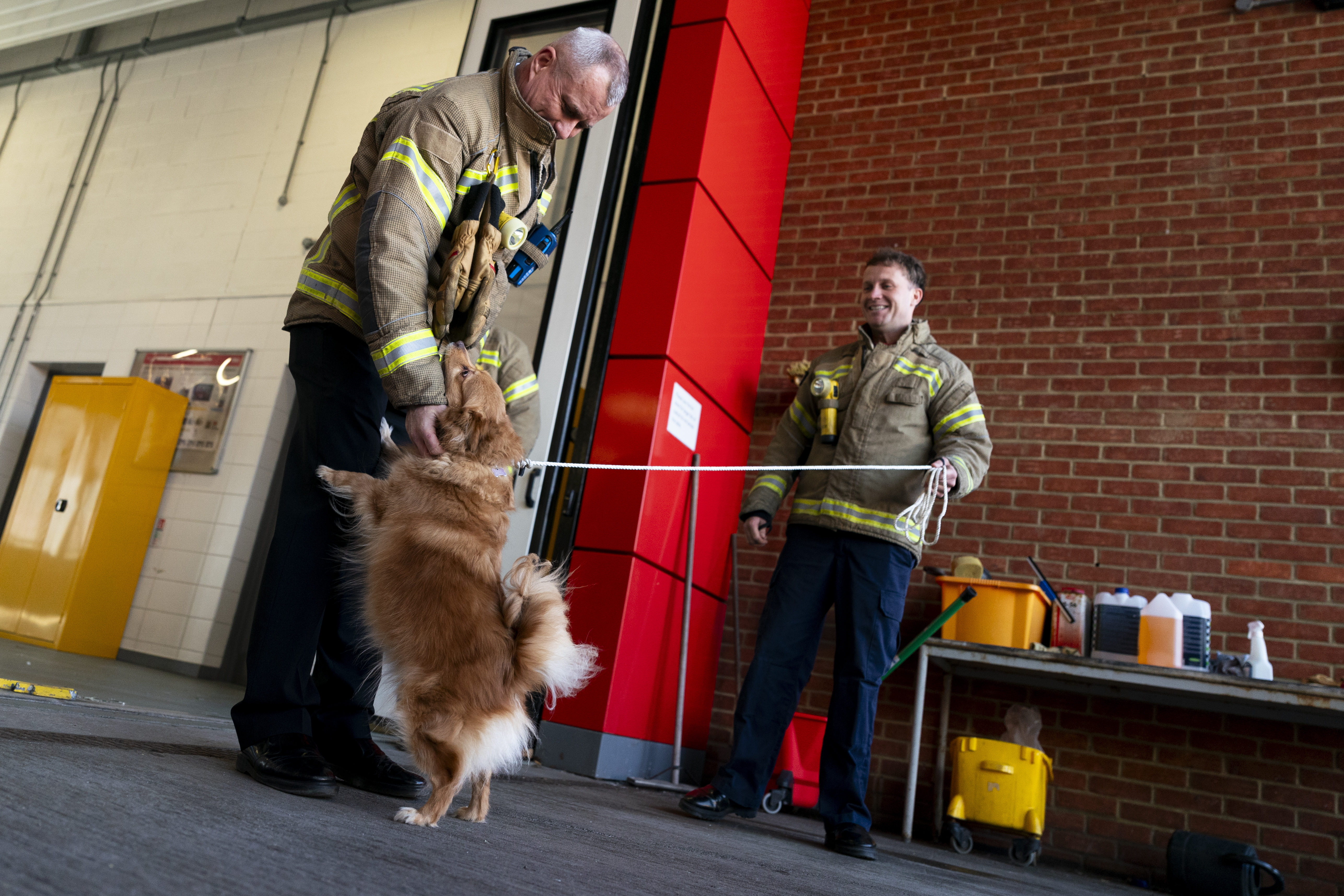 Firefighters with dog 