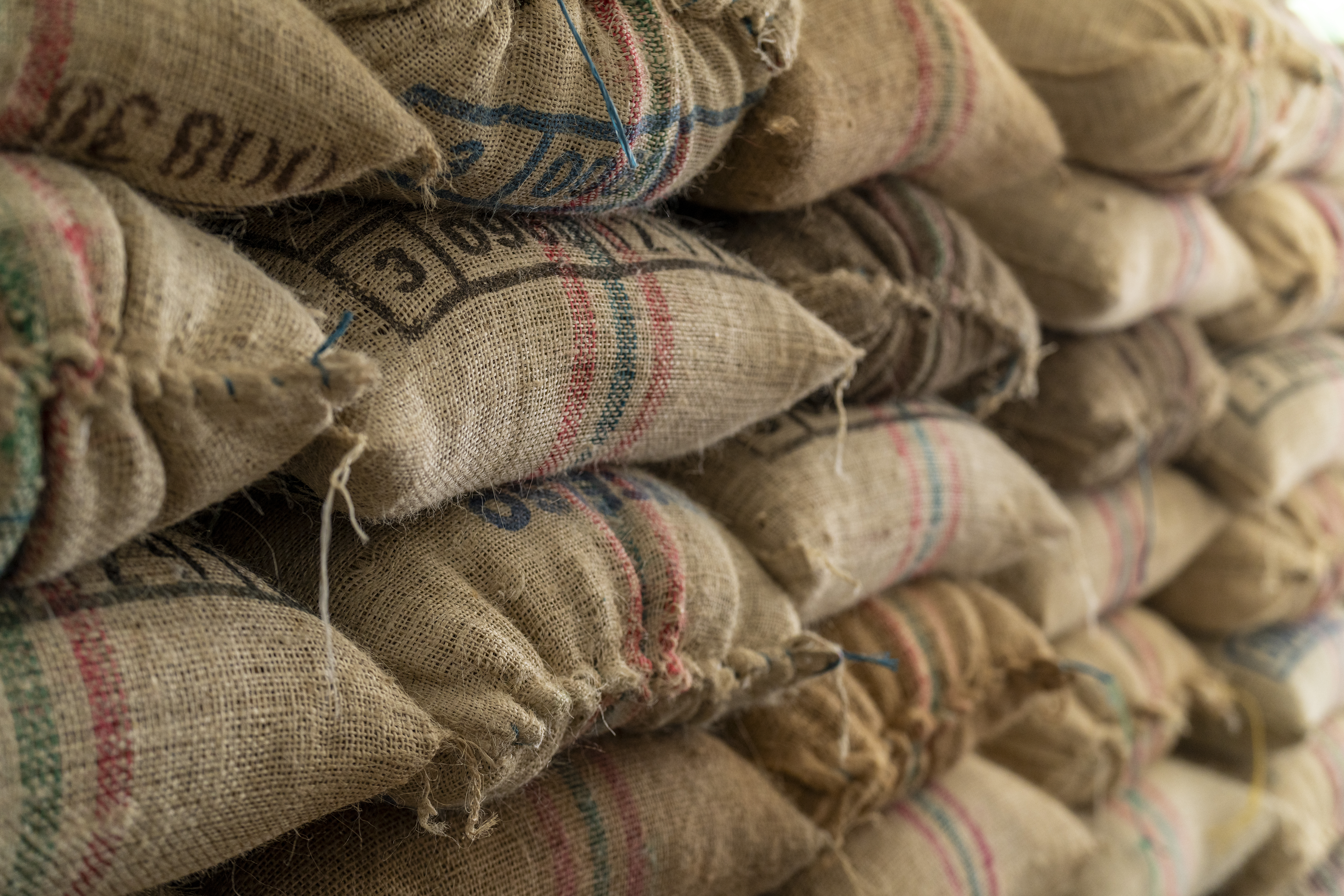 Coffee beans ready for export in Santa Marta