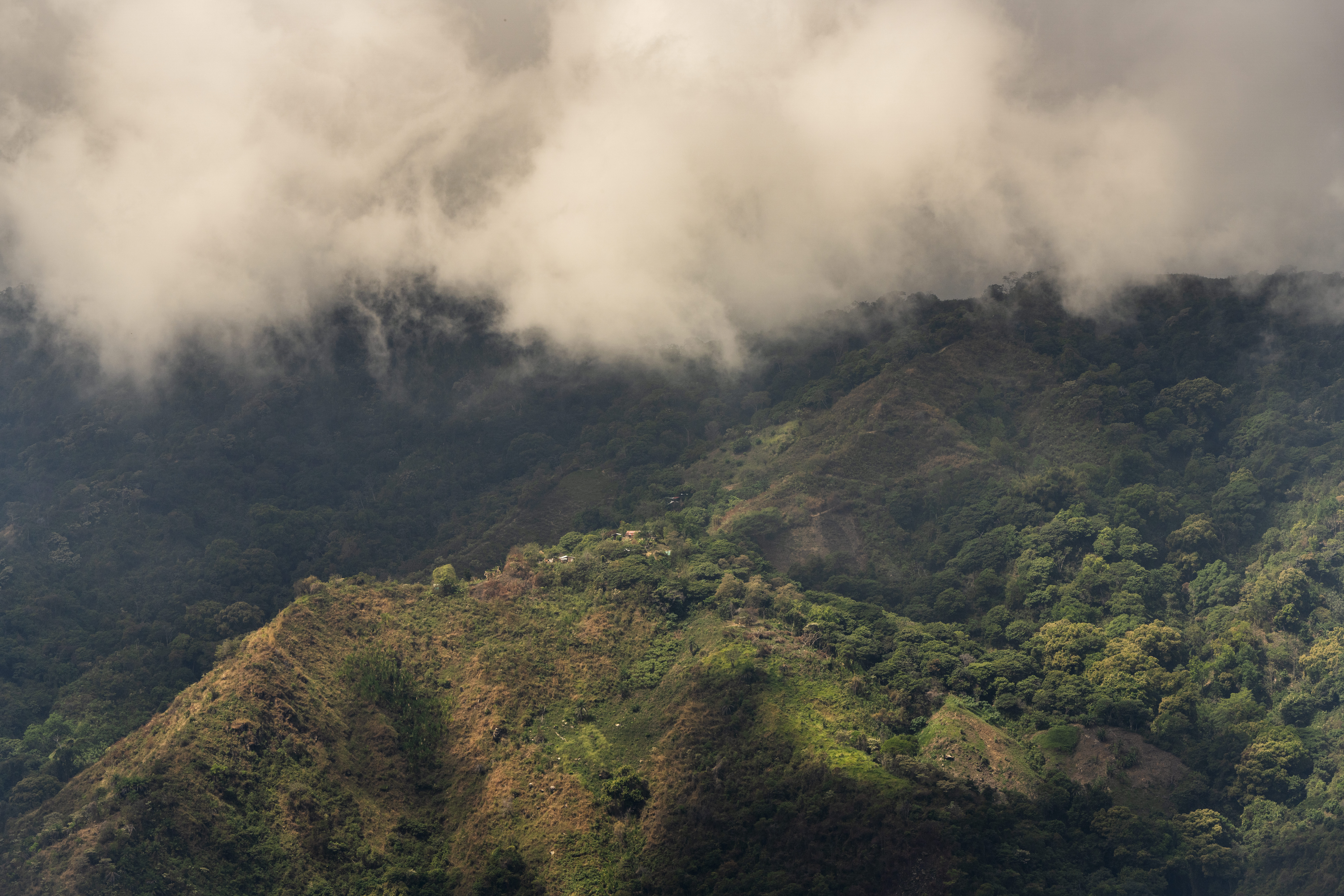Coffee farms located on the mountain sides high up in the Sierra Nevada de Santa Marta