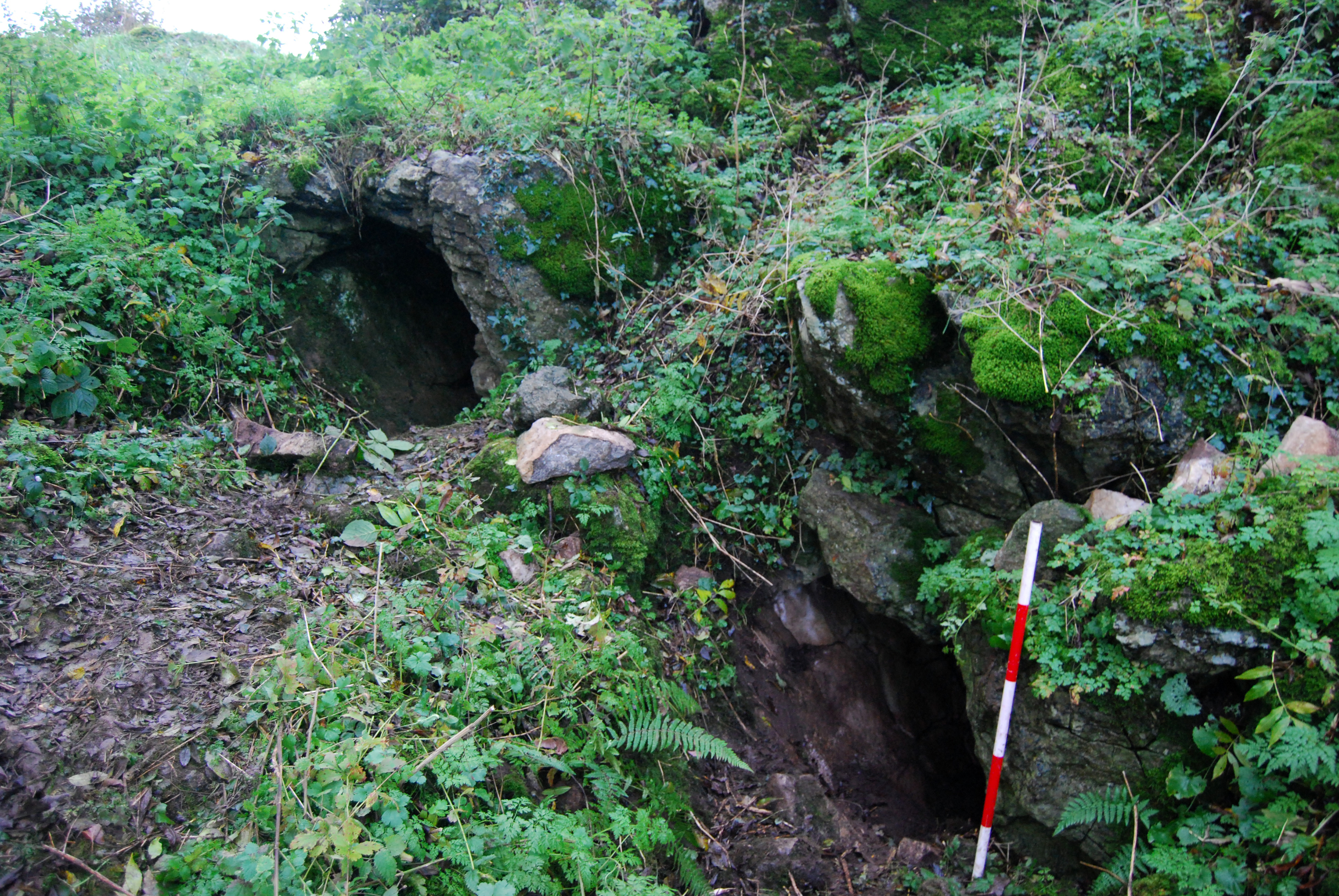 Killuragh Cave in County Limerick, Ireland