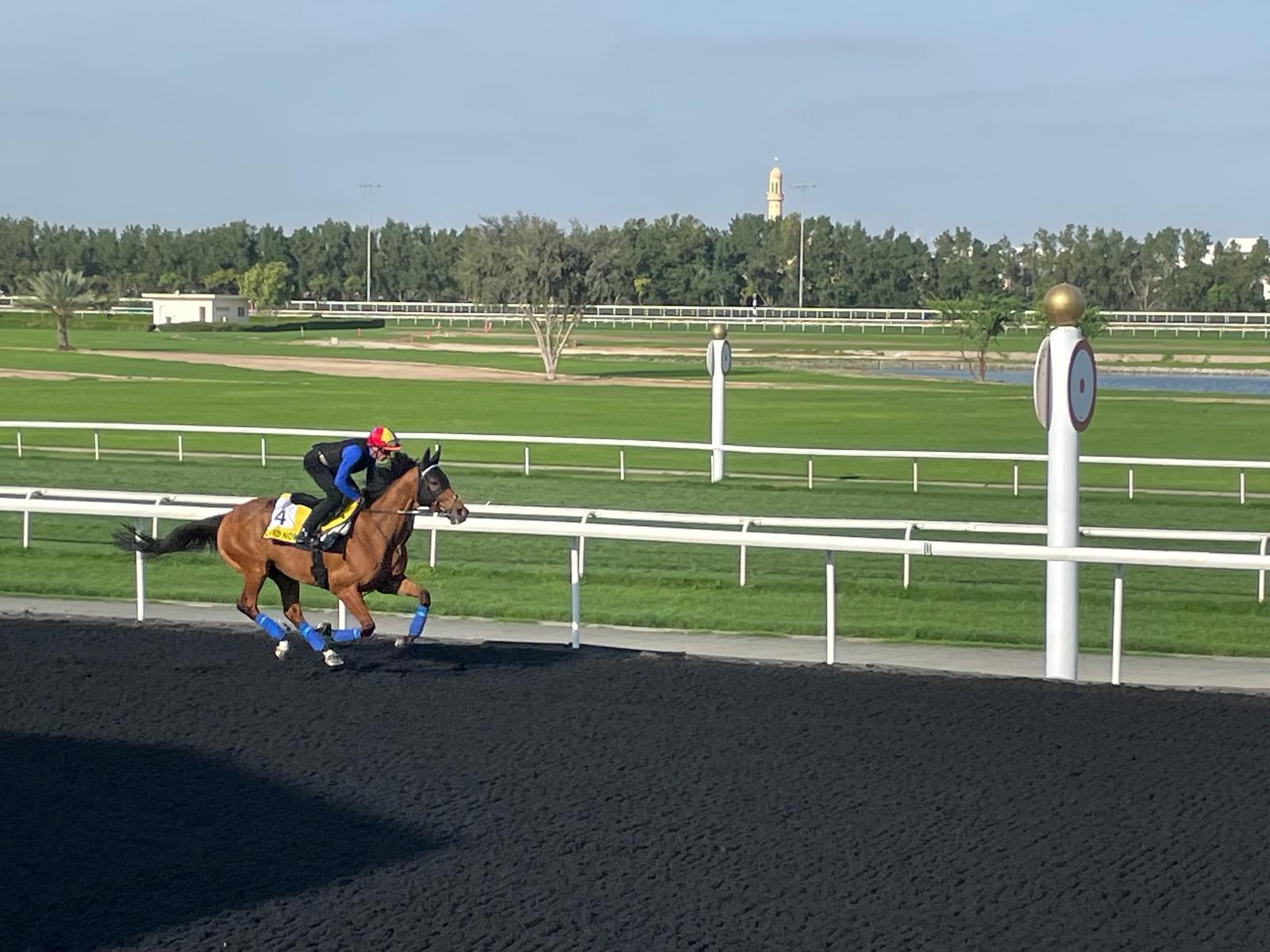 Lord North and Frankie Dettori on track in Meydan