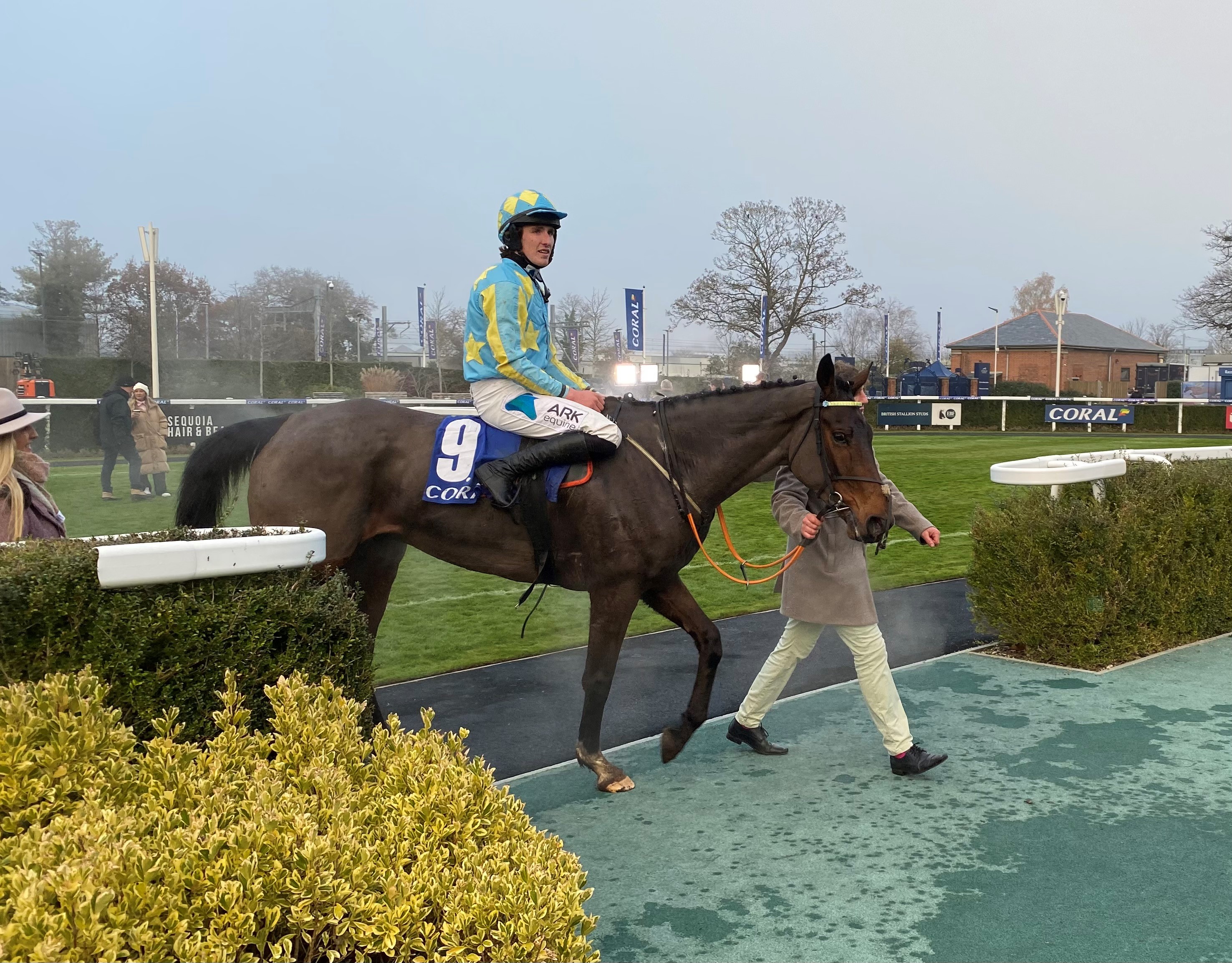 Mahler Mission after running at Newbury in the Coral Gold Cup