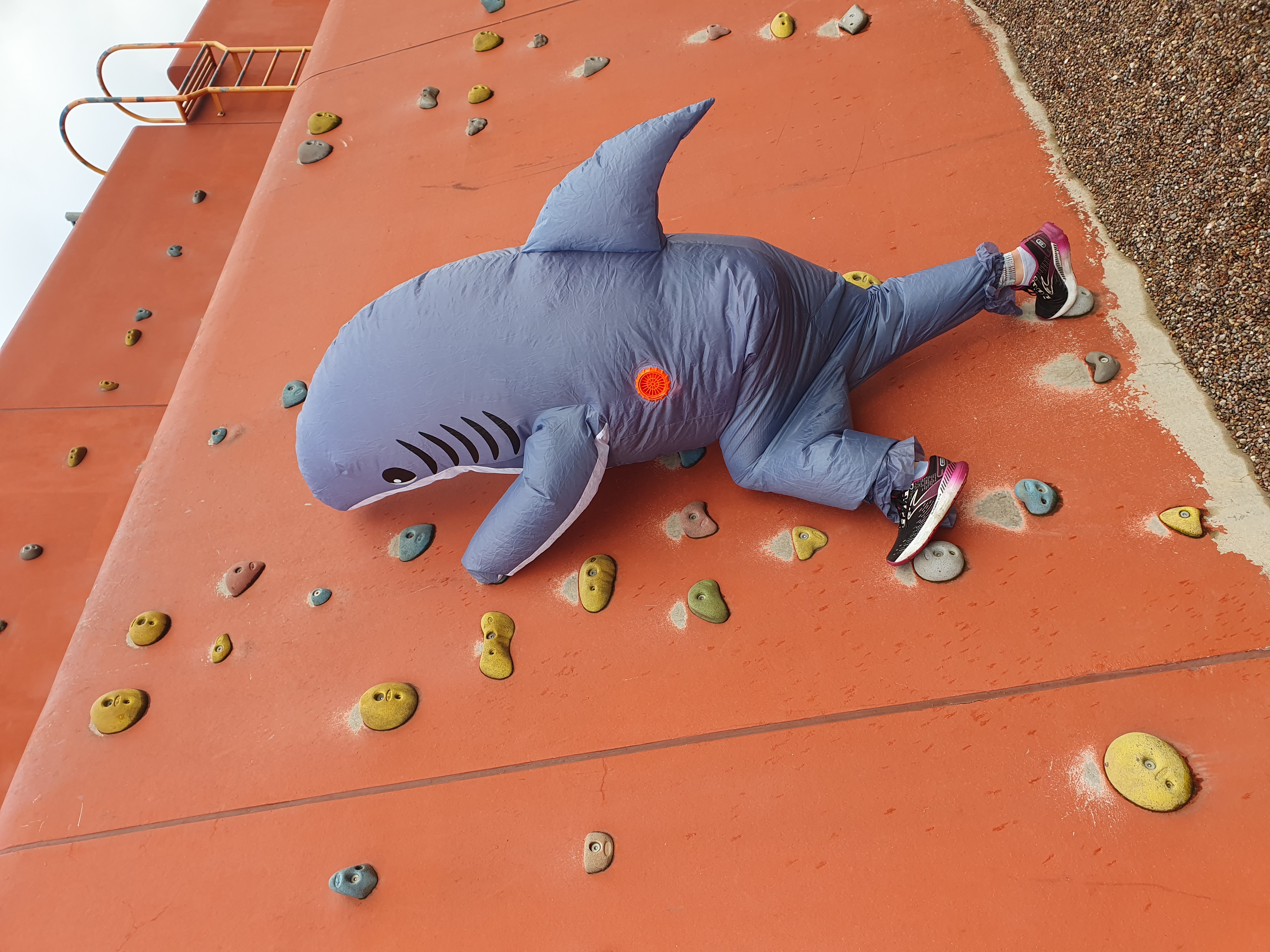 Woman climbing wall in inflatable shark costume 