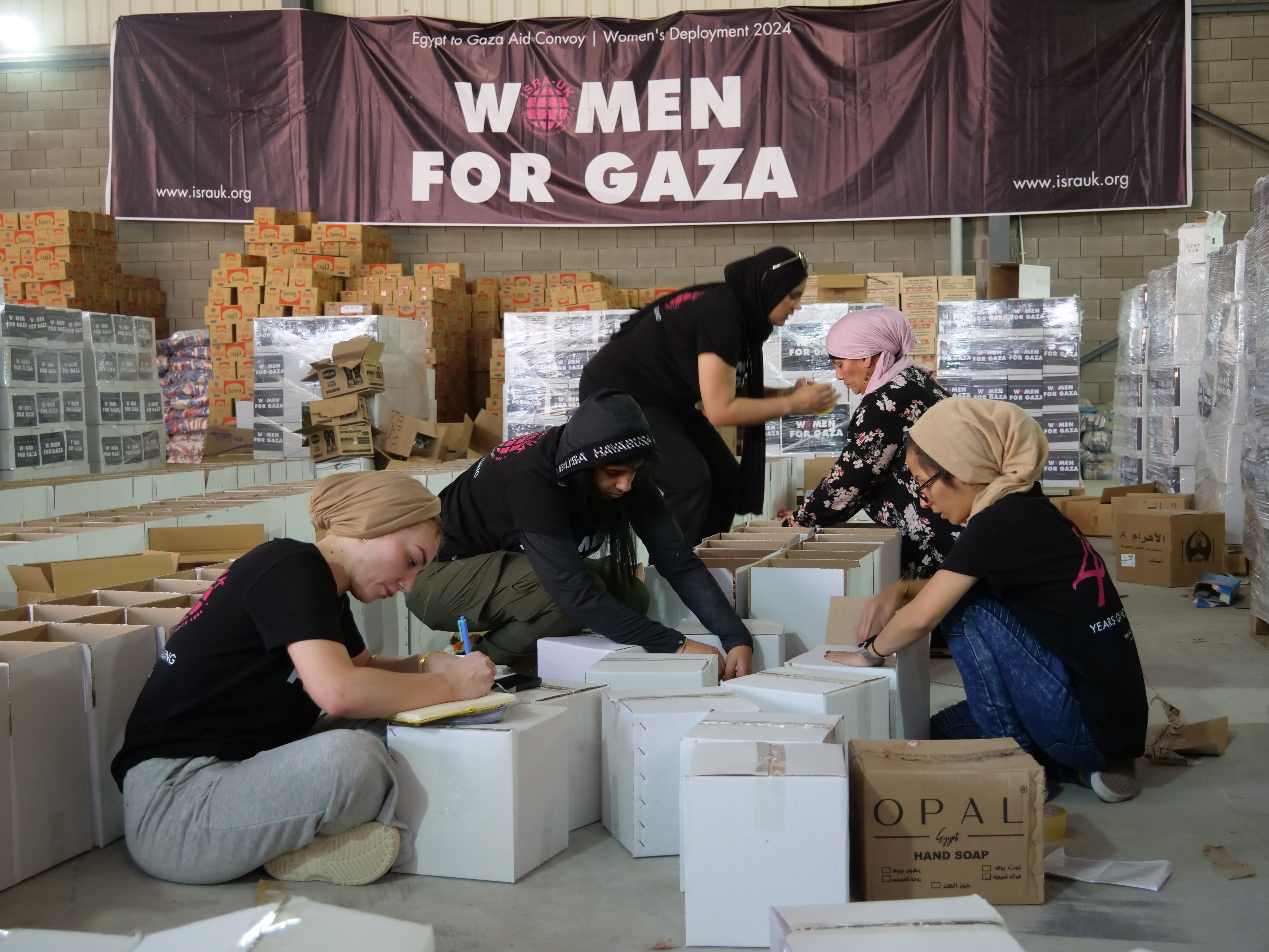 Gaza aid deployment 