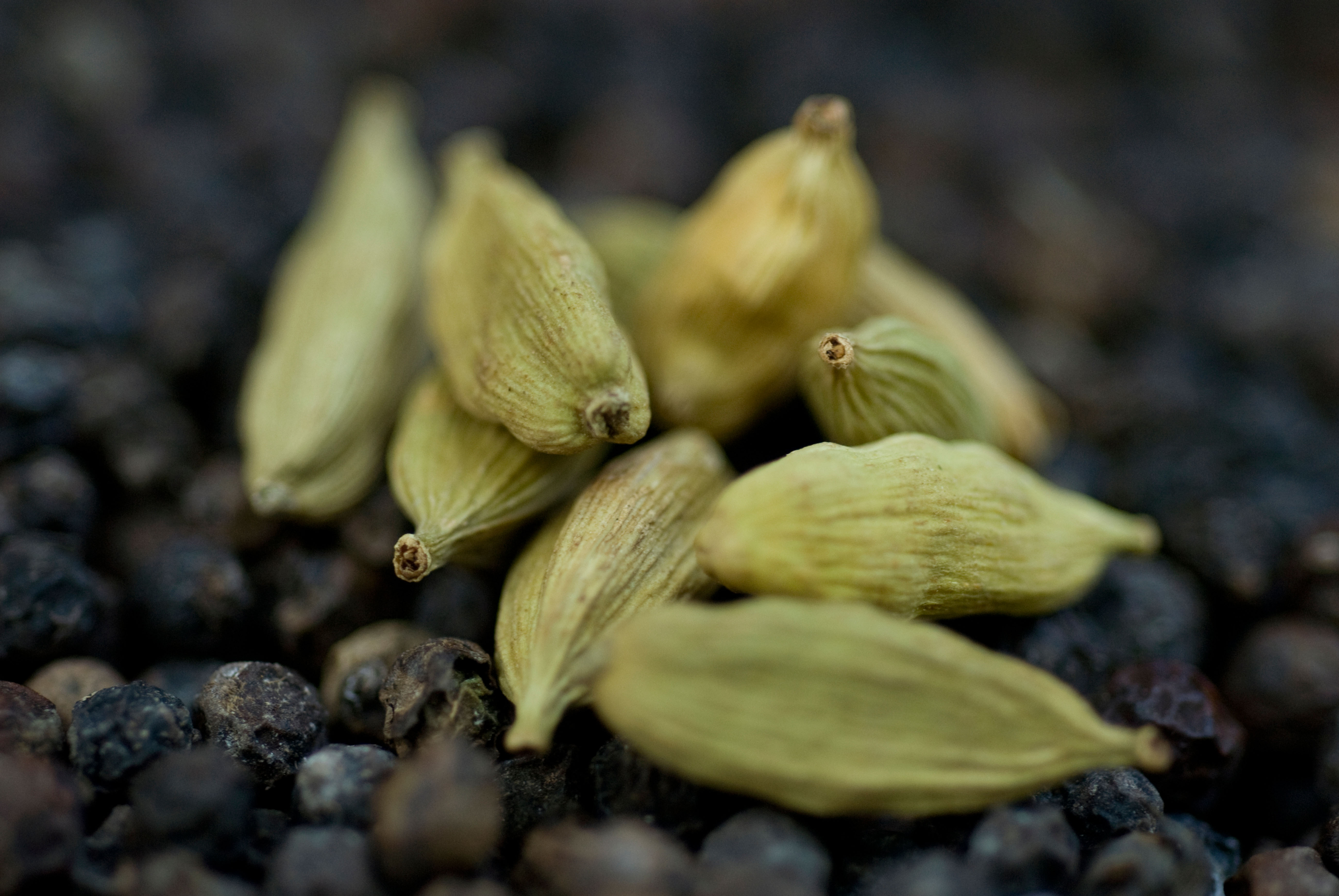 Cardamom pods at Matale Spice Garden (Alamy/PA)