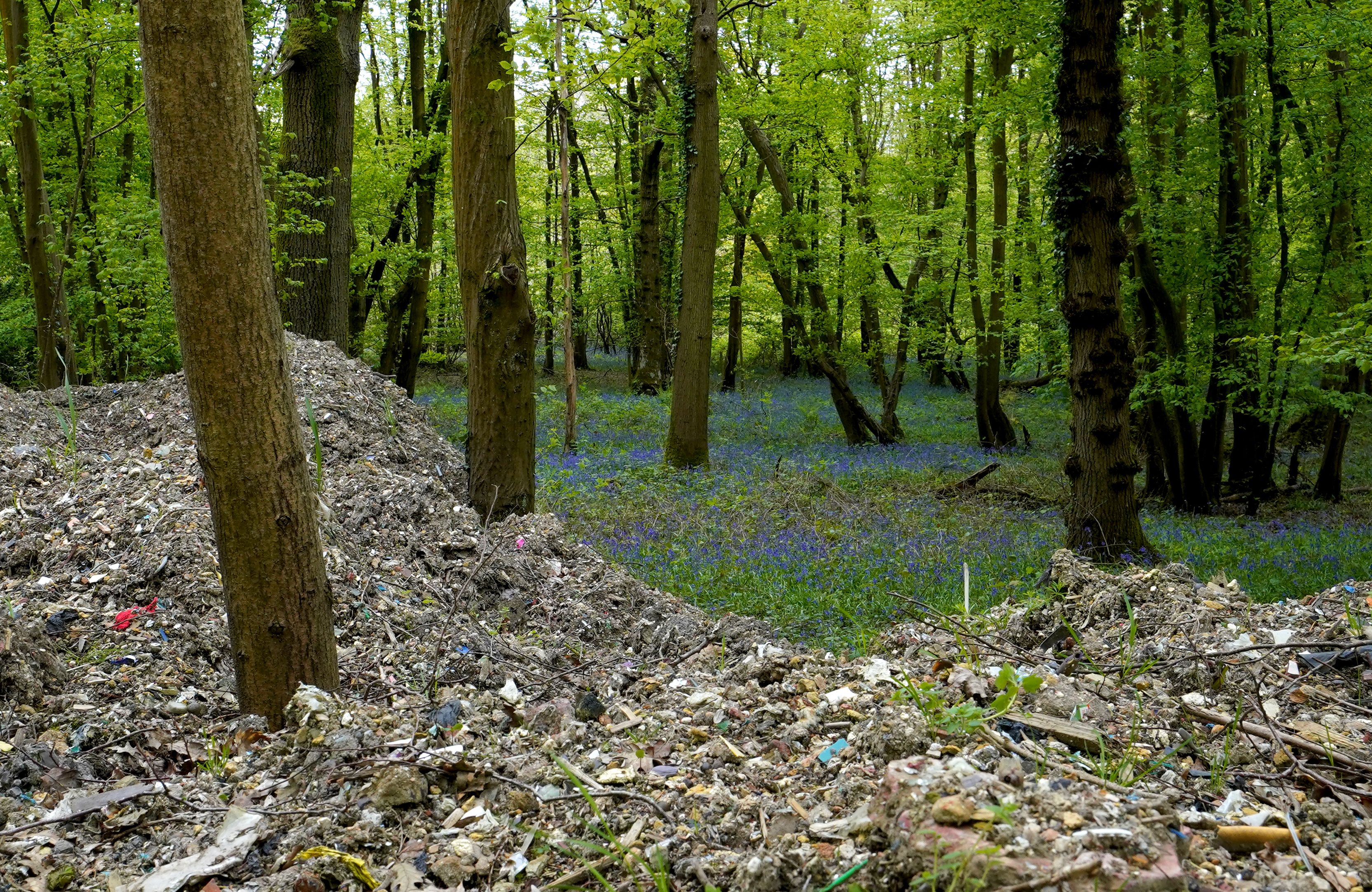 Fly tipping at Hoads Wood