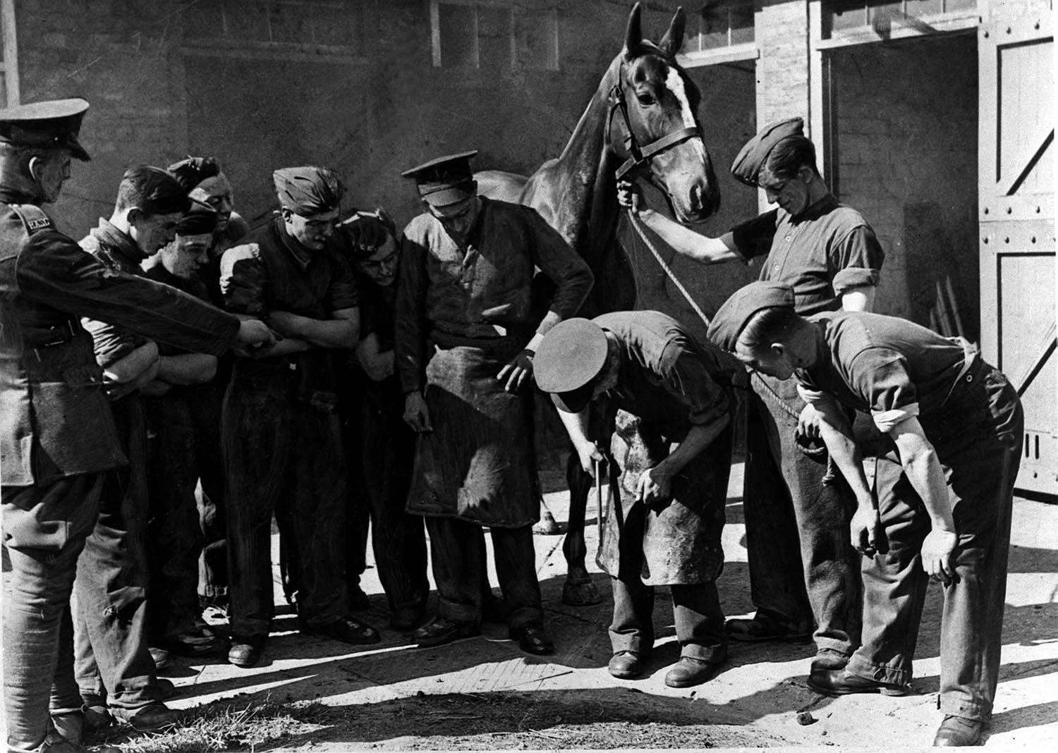 Recruits of the Horse Transport Unit attached to the Royal Army Service Corps learning how to shoe a horse 