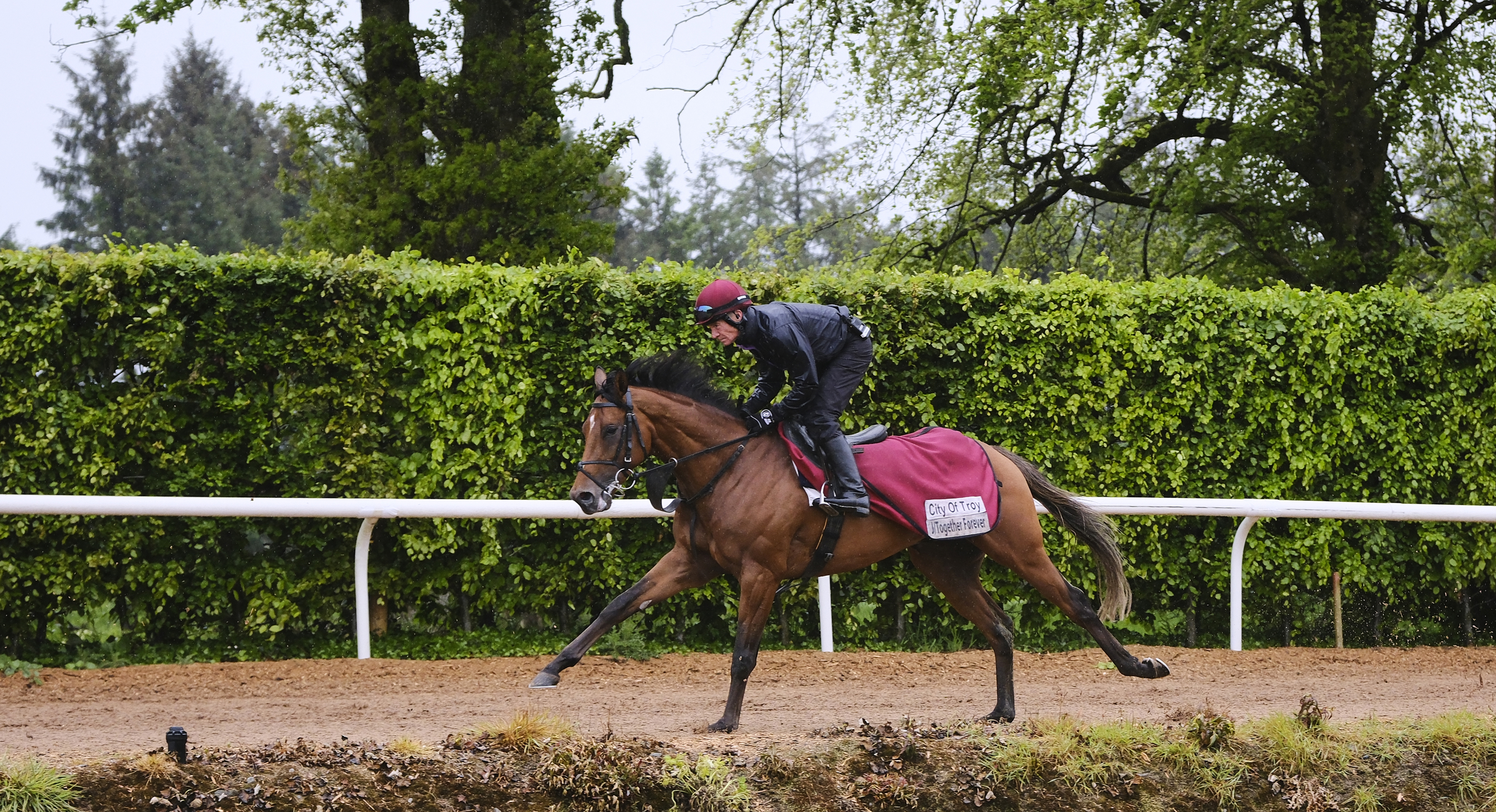 Derby favourite City Of Troy goes through his paces at Ballydoyle