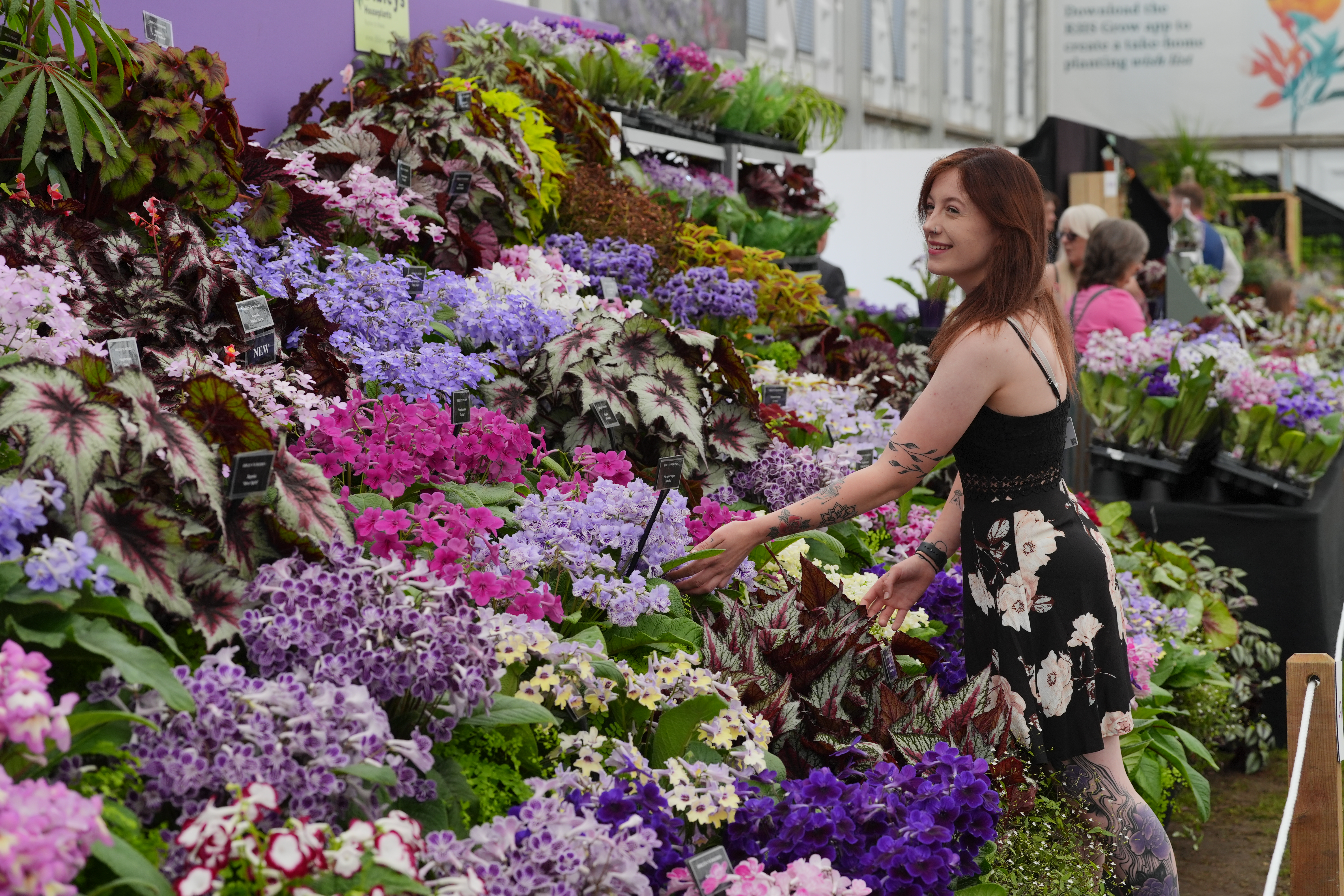 RHS Chelsea Flower Show 2024