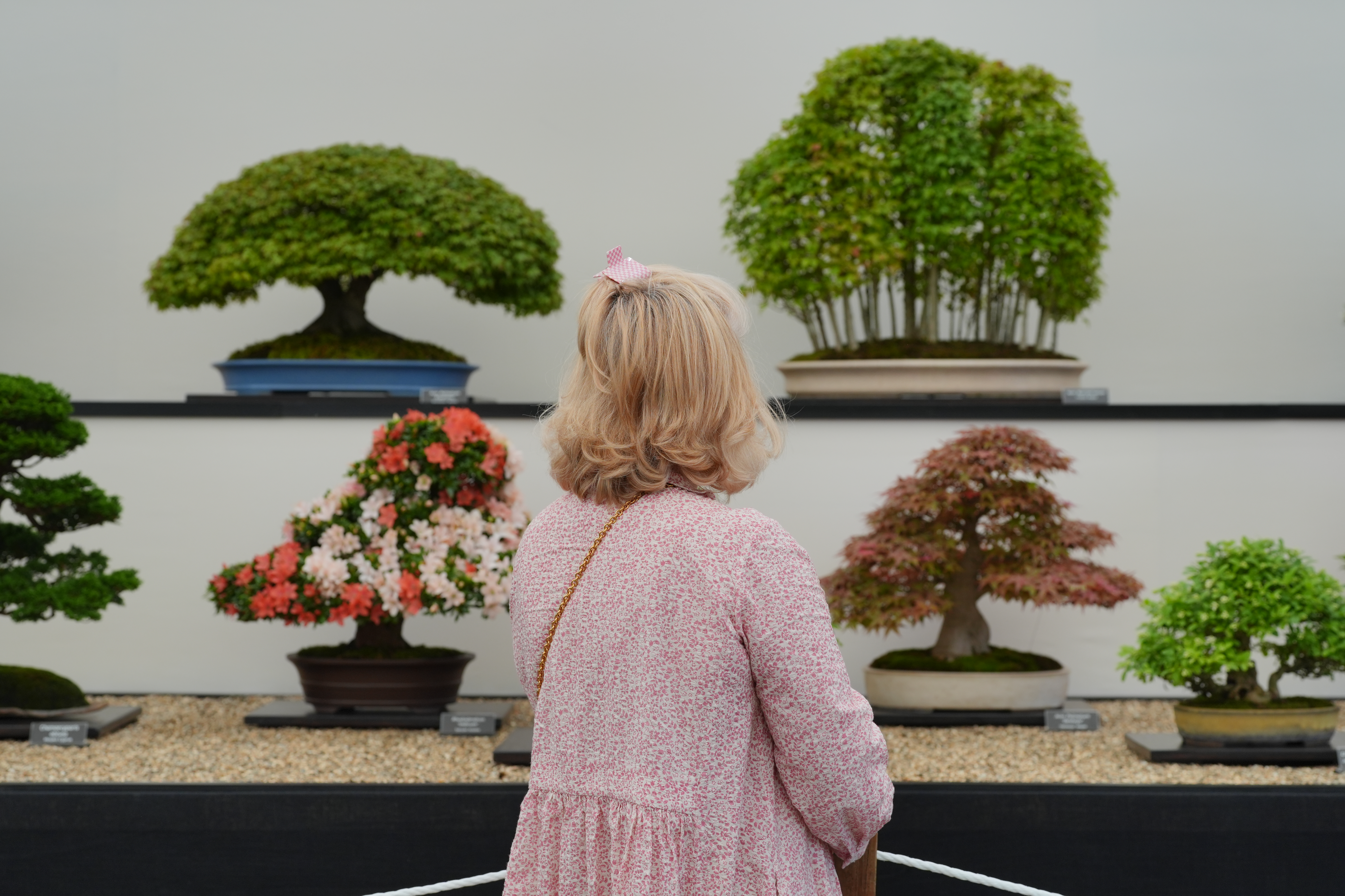 RHS Chelsea Flower Show 2024