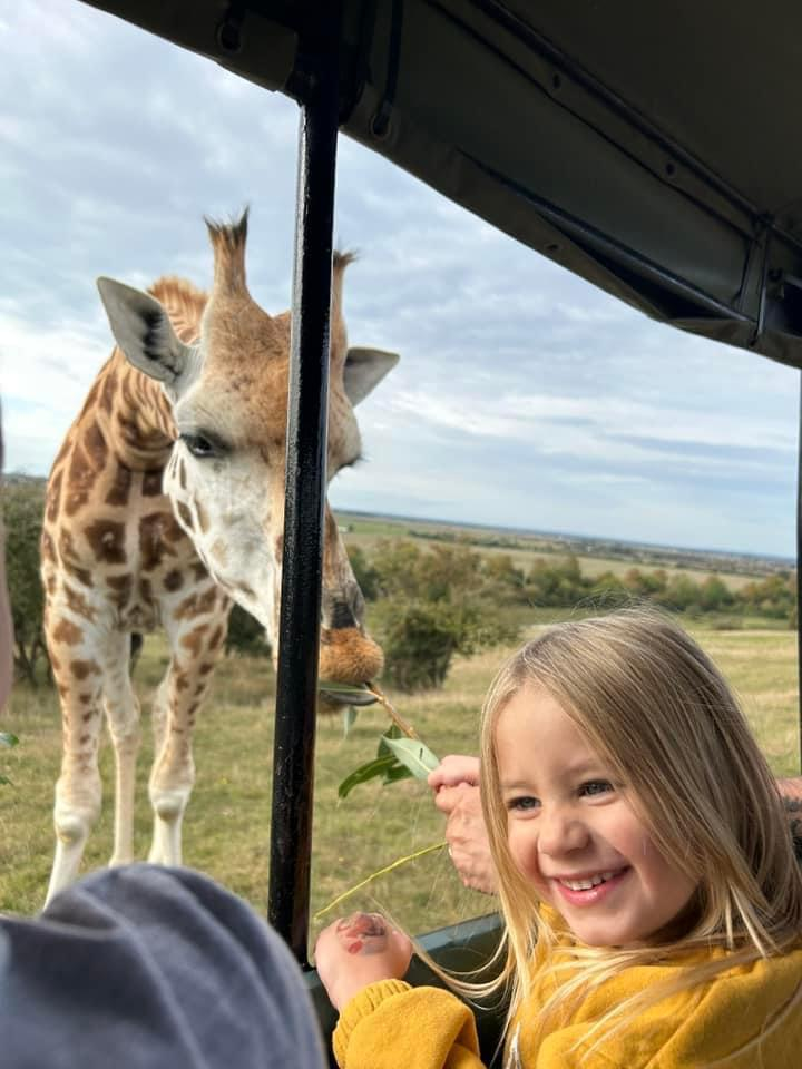 Charlotte Woodman and Alan Boddington's daughter Tay feeding a giraffe