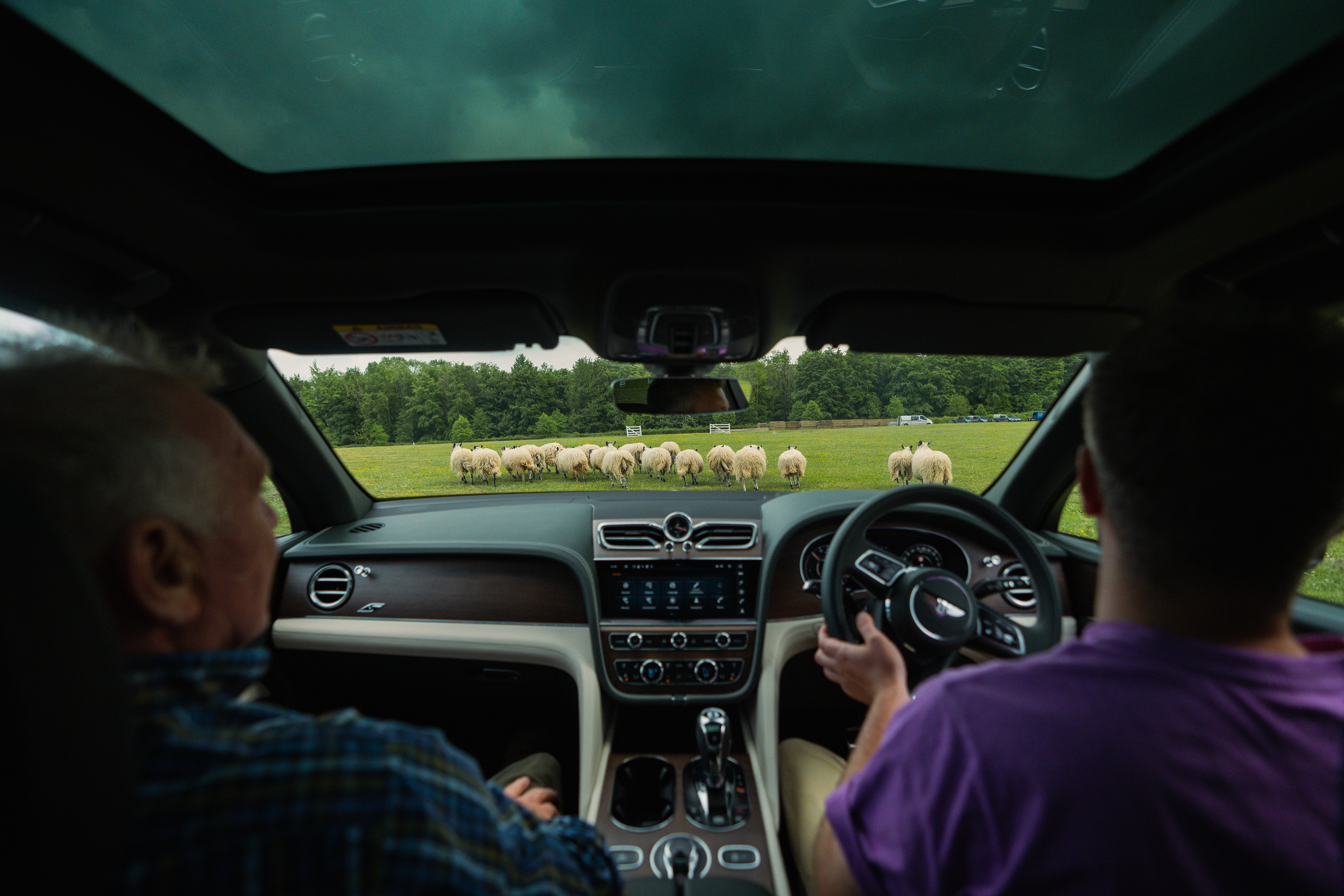 Bentley Sheep Herding