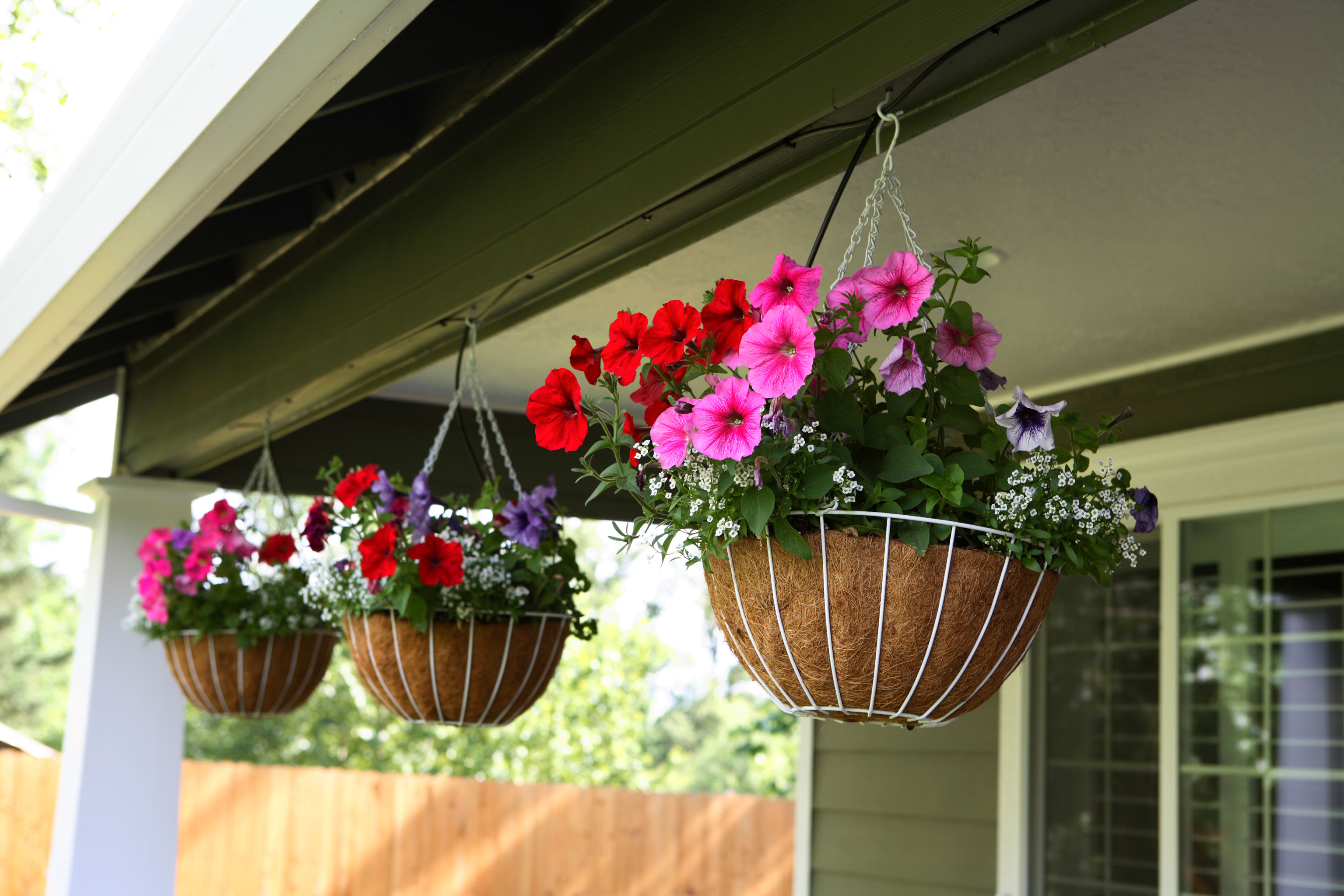 Hanging baskets on front porch of home