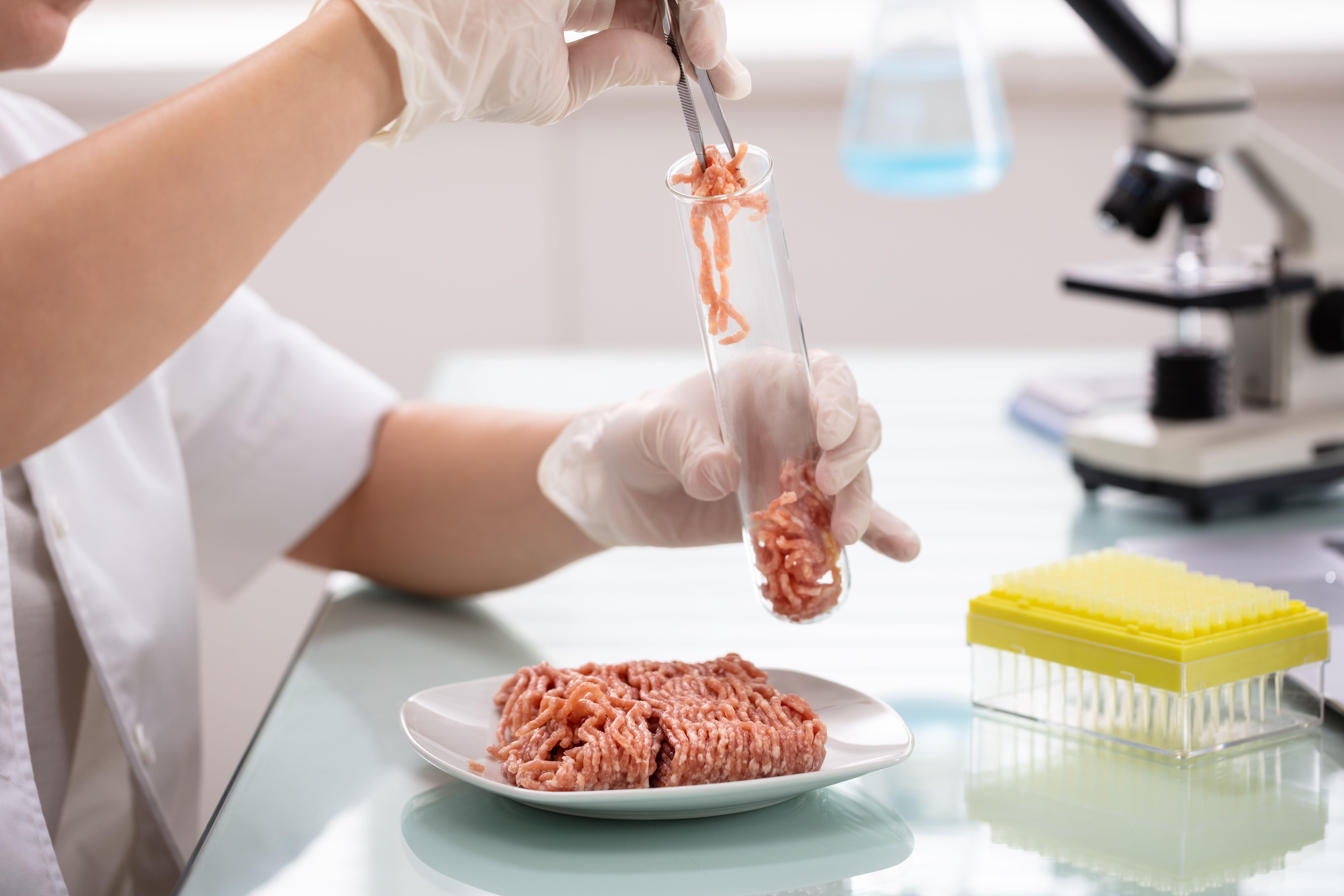 Lab-grown meat could become a staple (Alamy/PA)