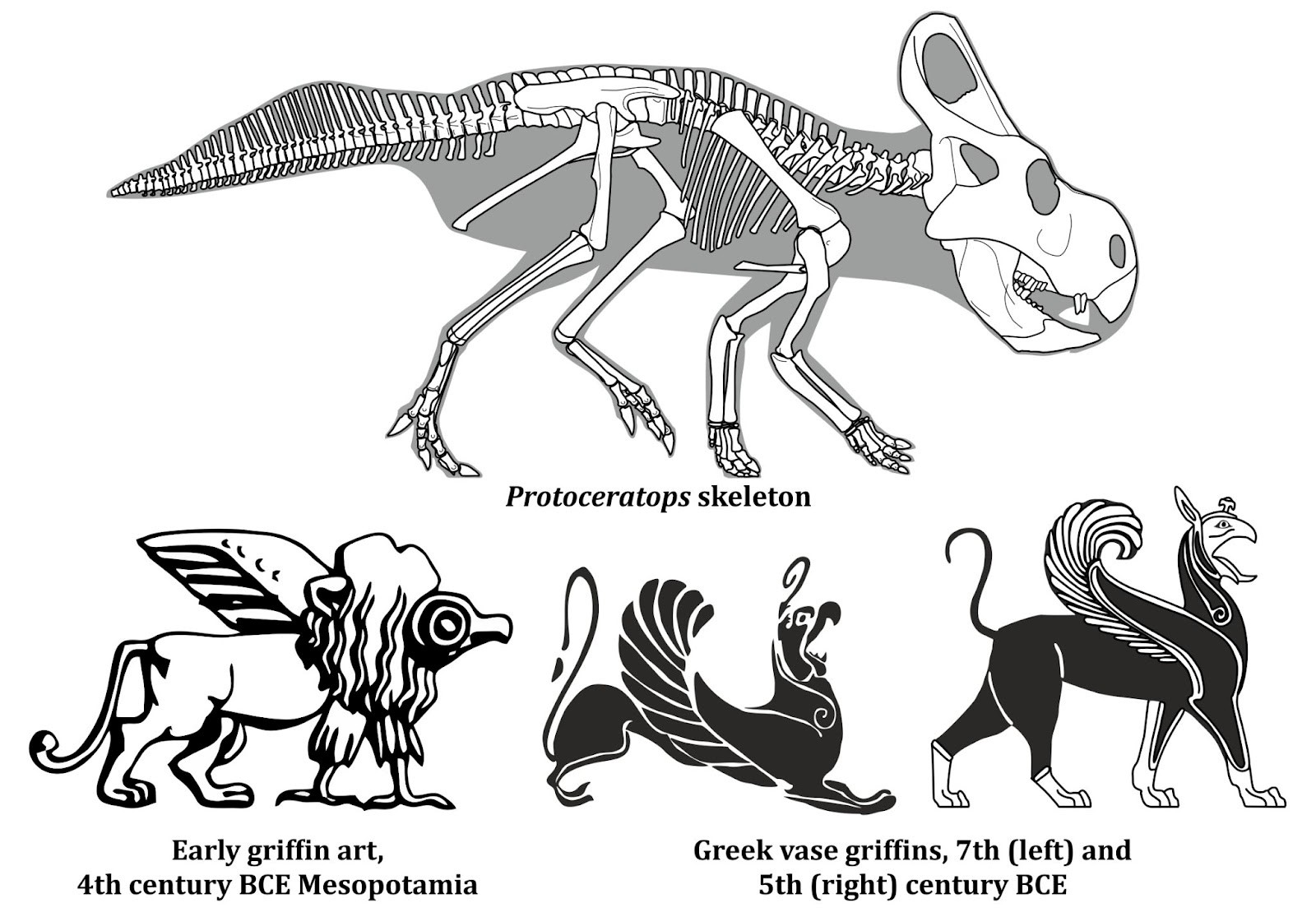 Comparison between griffins and Protoceratops