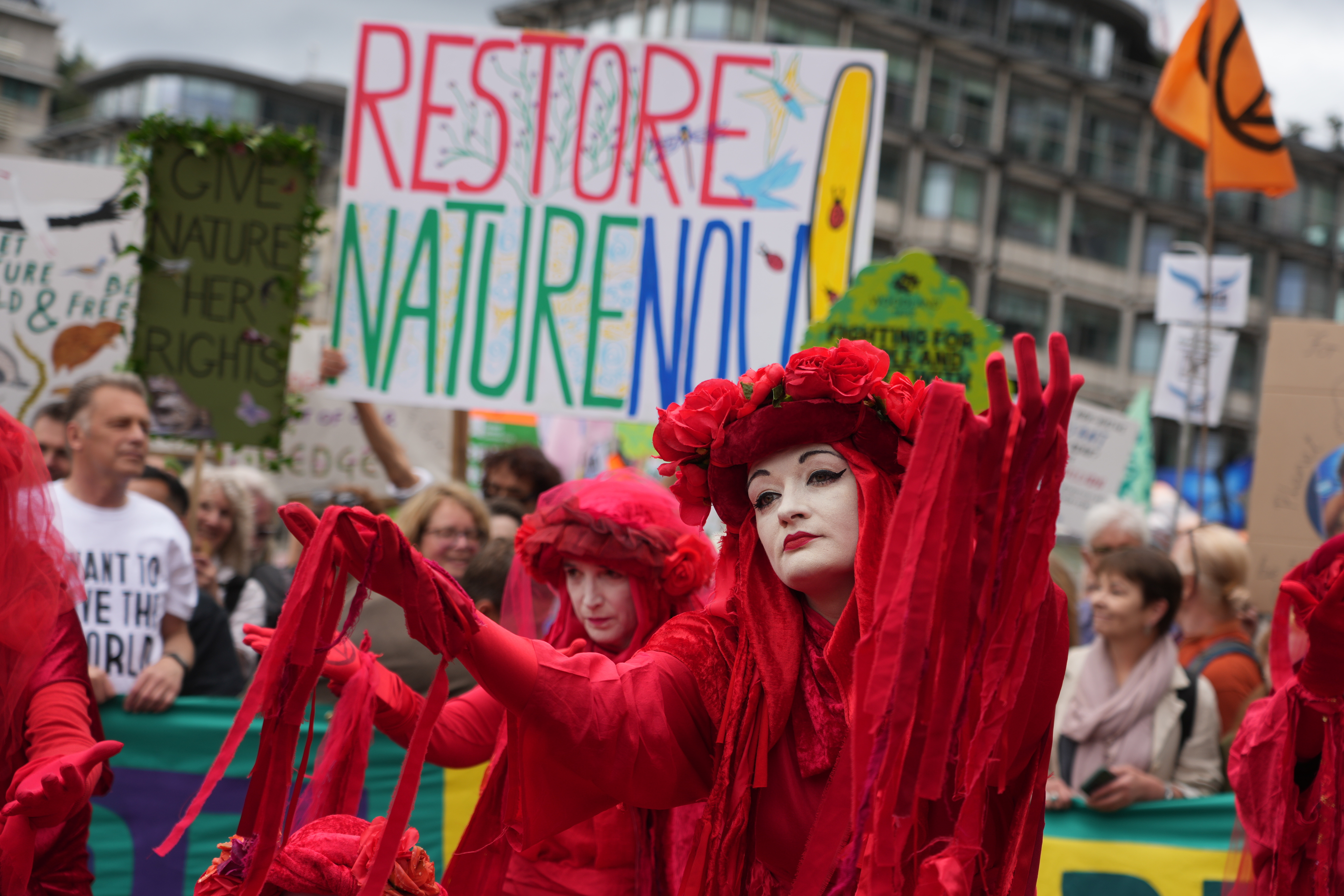 Red Rebel Brigade at a climate march