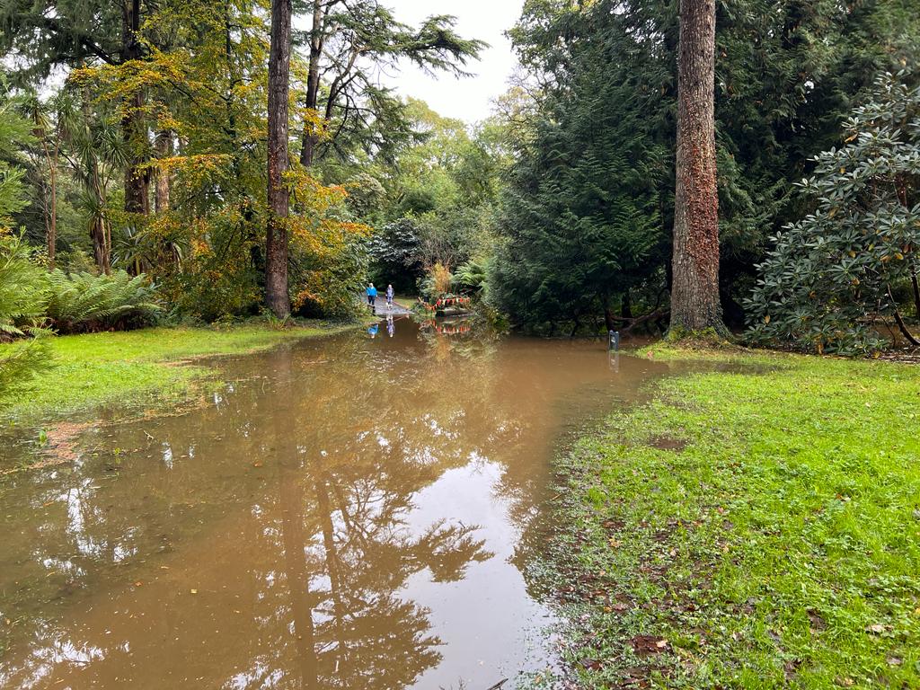 Floodwater lies on the ground in front of woodland at Mount Stewart