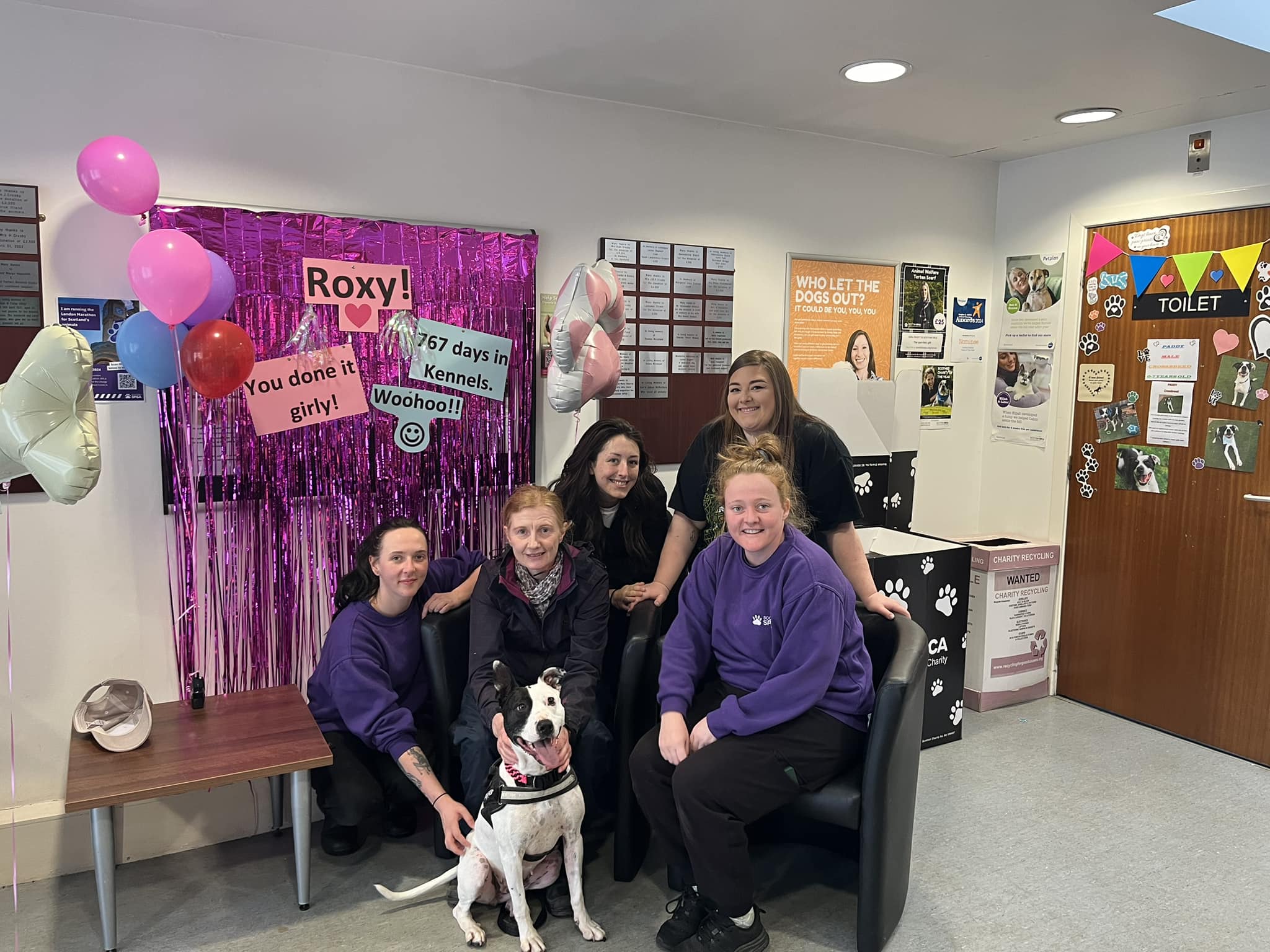 Roxy the dog sitting on the floor, surrounded by Scottish SPCA staff, with a pink sparkly curtain with her name on it as backdrop