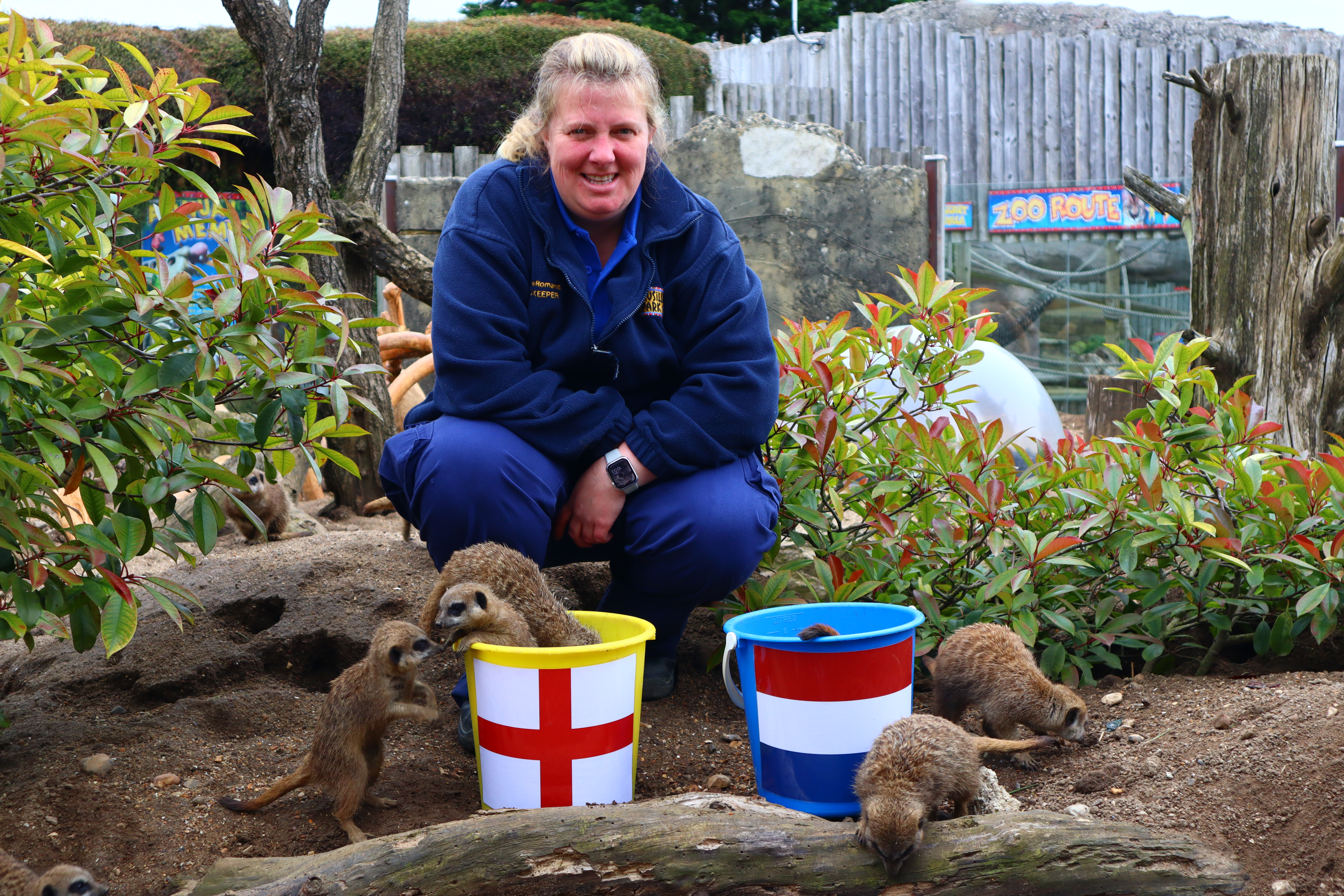 Drusillas head keeper Gemma Romanis crouching in front of the two buckets with the meerkats
