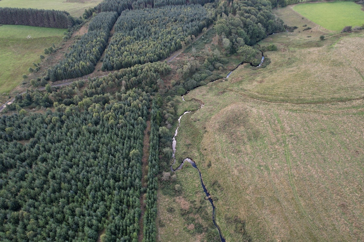 The enclosure where the beavers were released