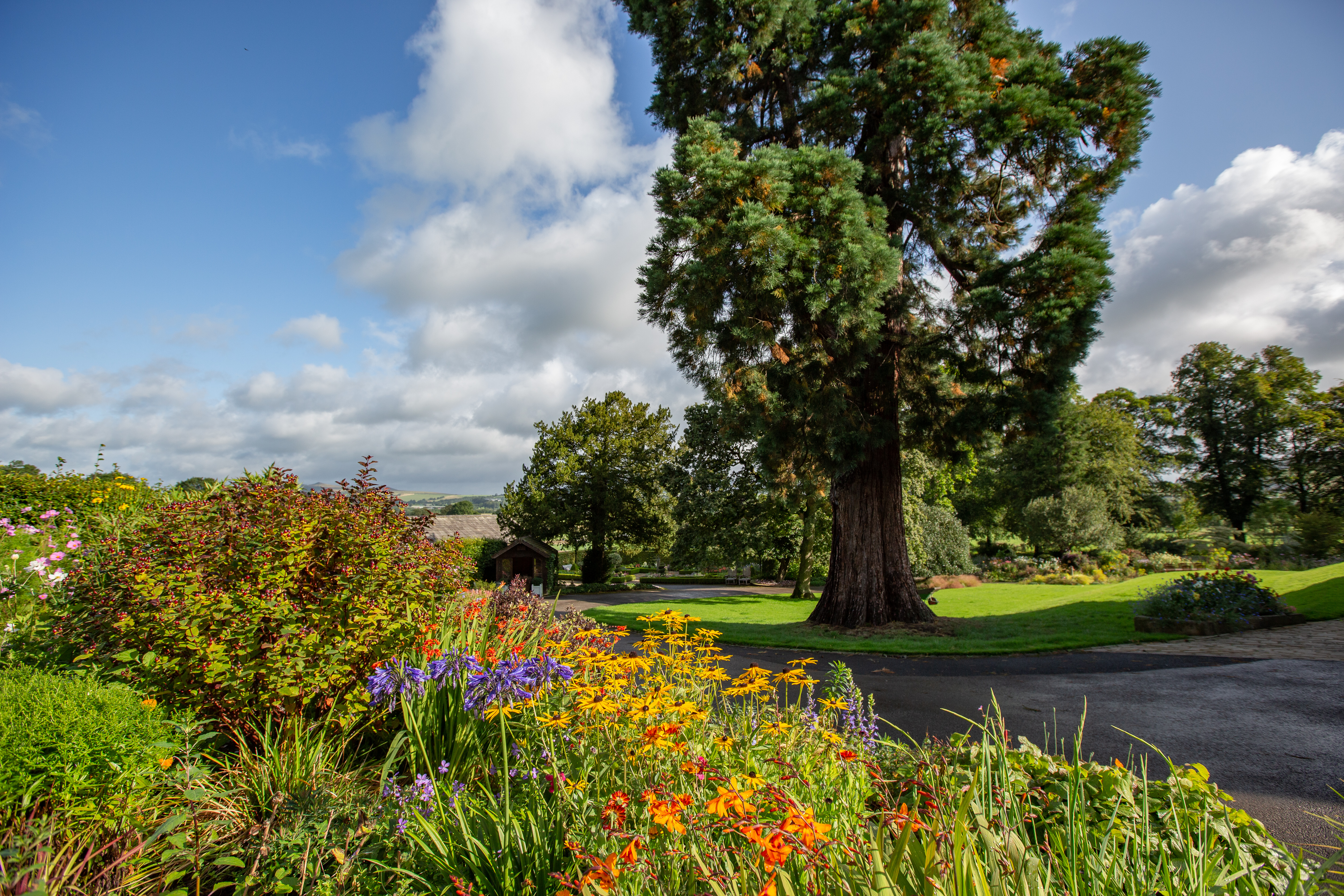 The Grange NGS open garden, Skipton (Joe Burn Photography/National Garden Scheme/PA)