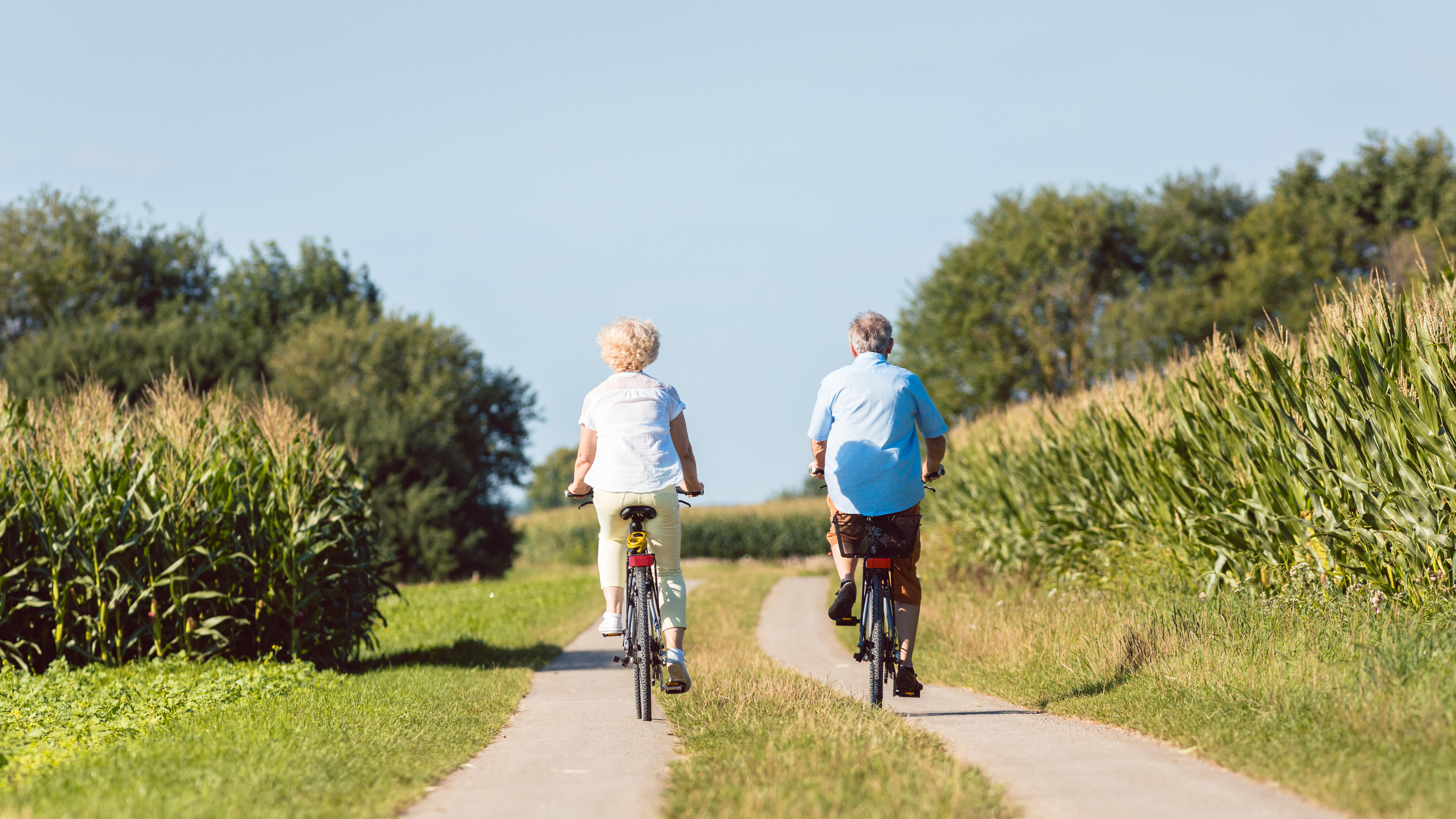 Senior couple looking forward with confidence while riding bicycles