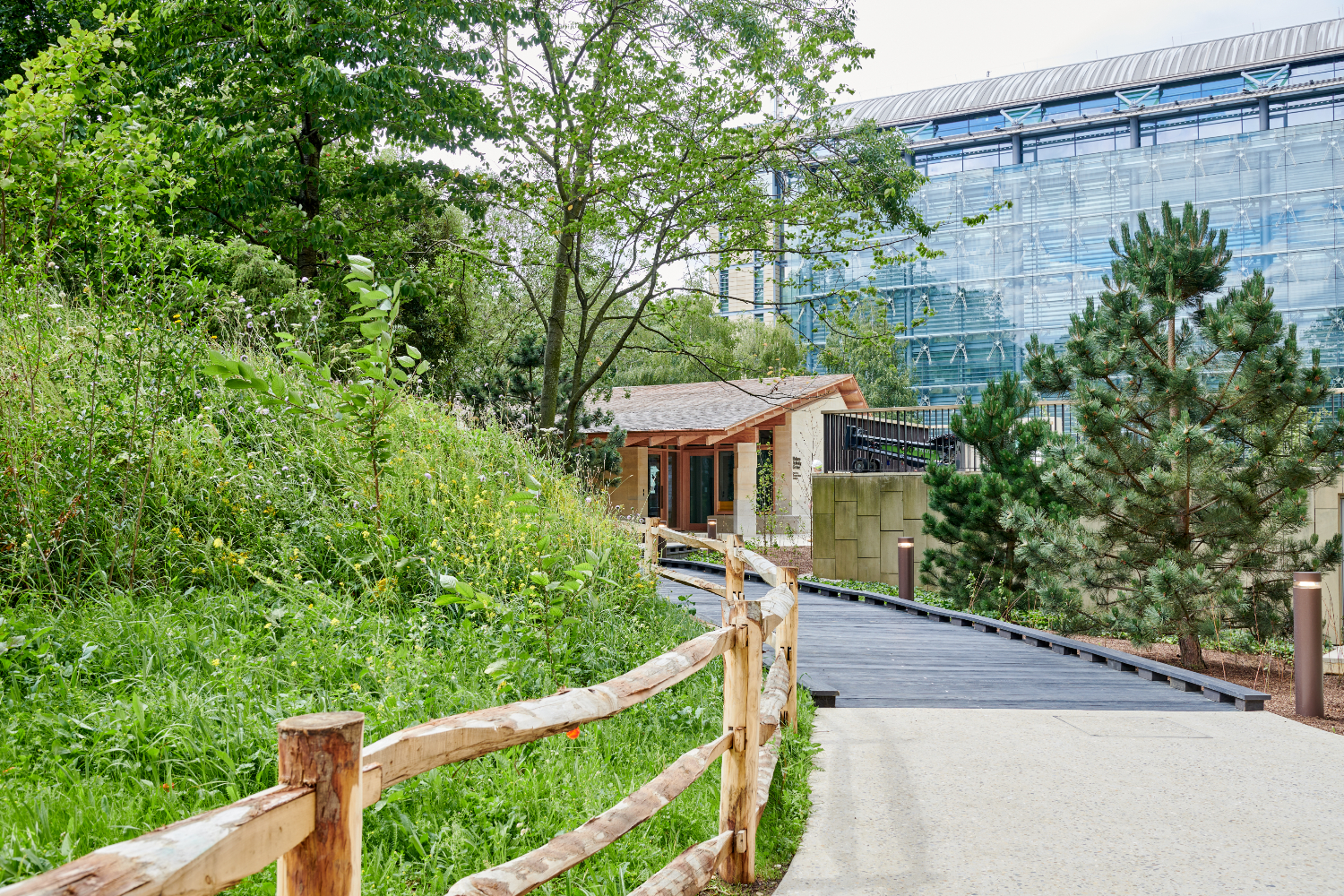  A pathway with a wooden fence and greenery on the left. In front is the activity centre