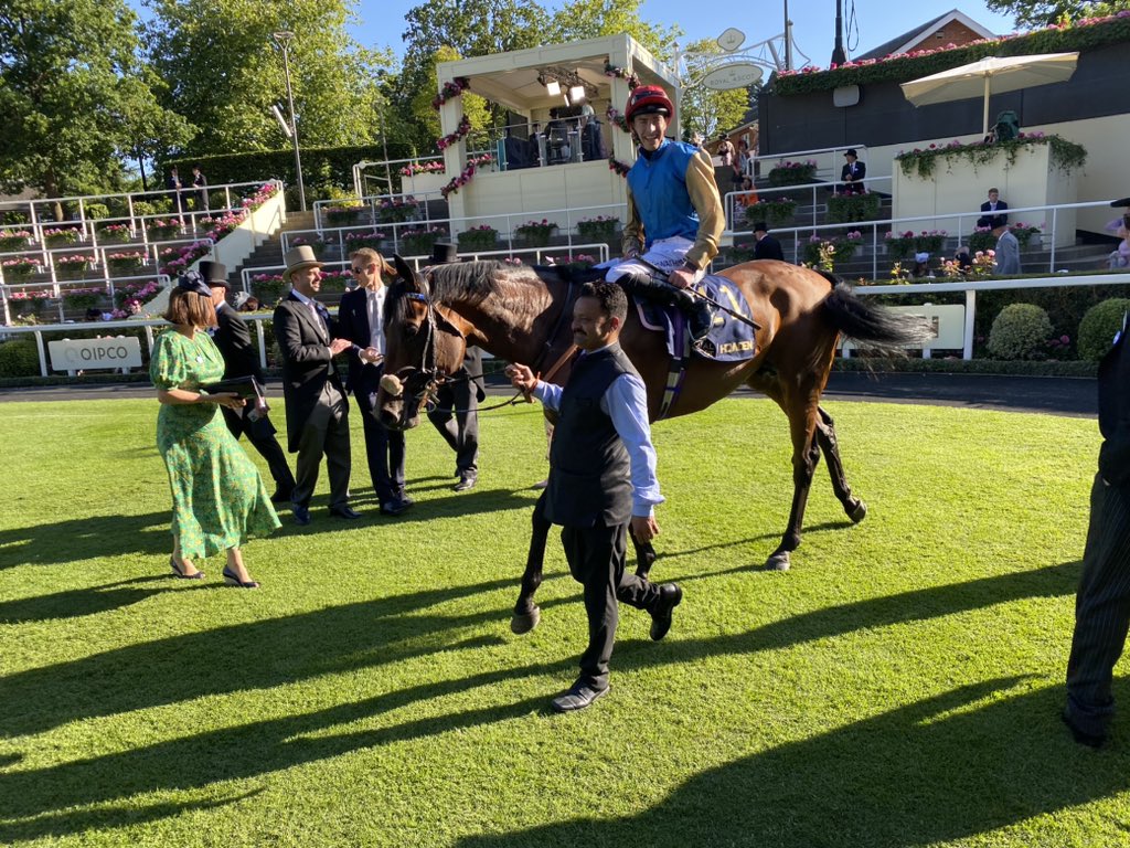 English Oak after winning at Royal Ascot 