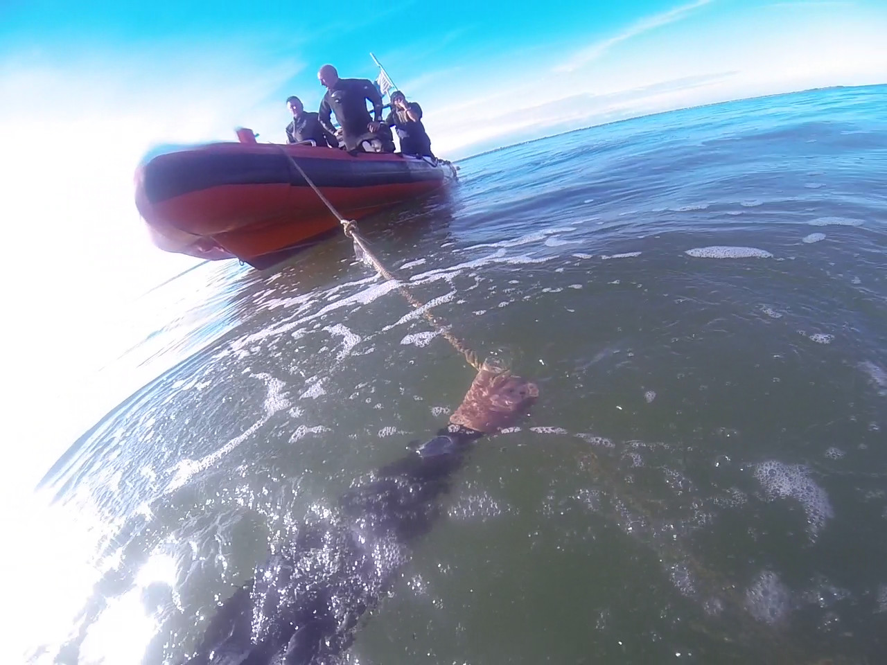 Diving the London wreck