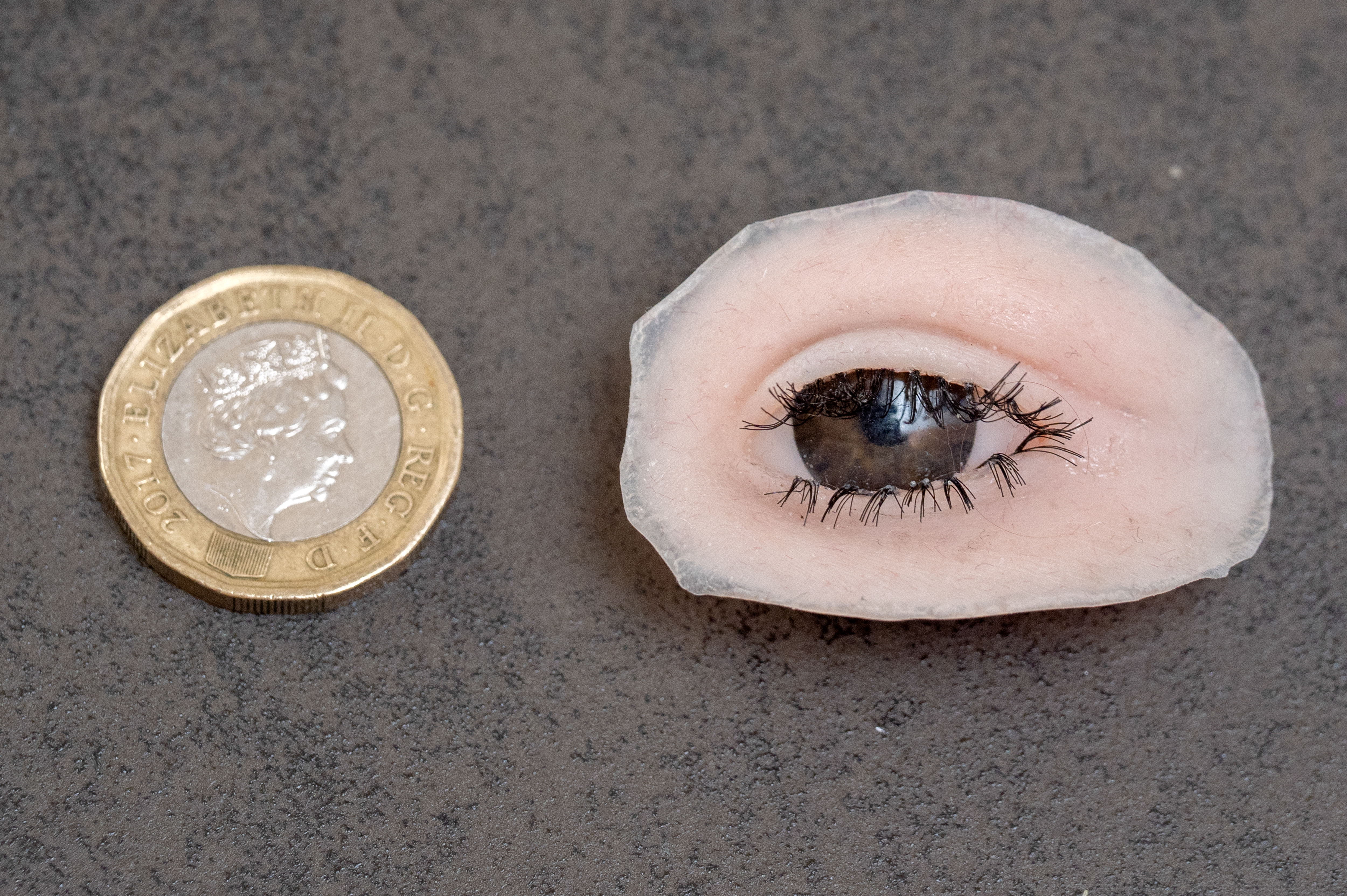 Nuala's prosthetic eye next to a pound coin