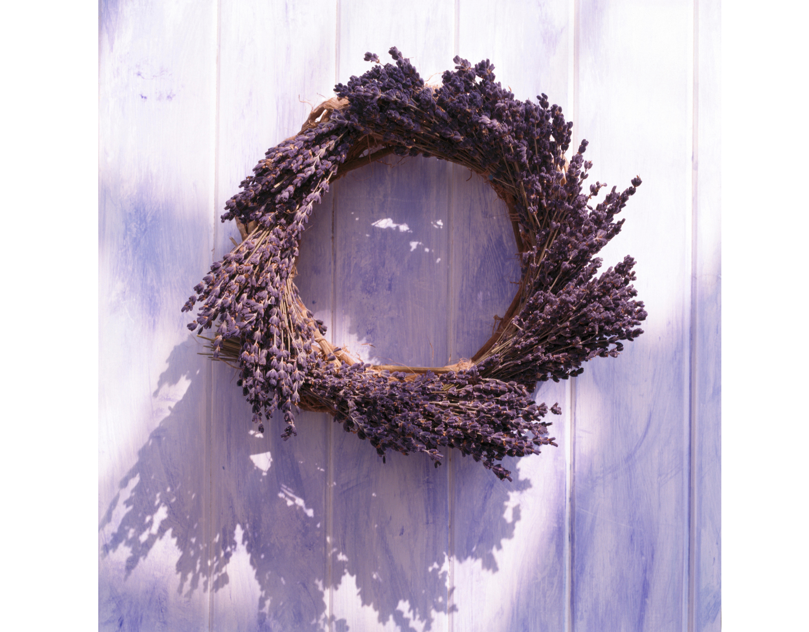 Homemade dried lavender wreath