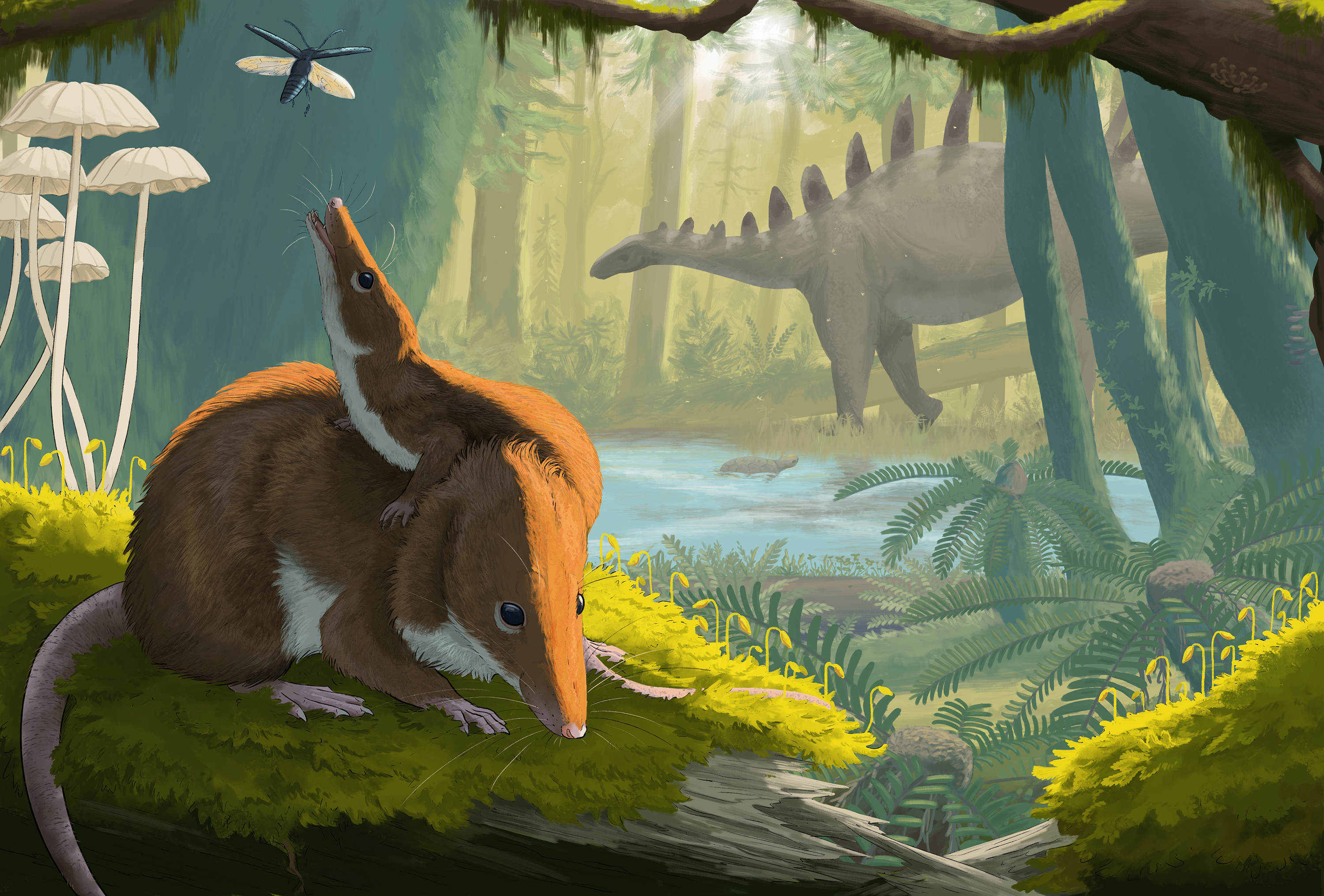 Artist's impression of how the mammals, which lived 166 million years ago, might have looked